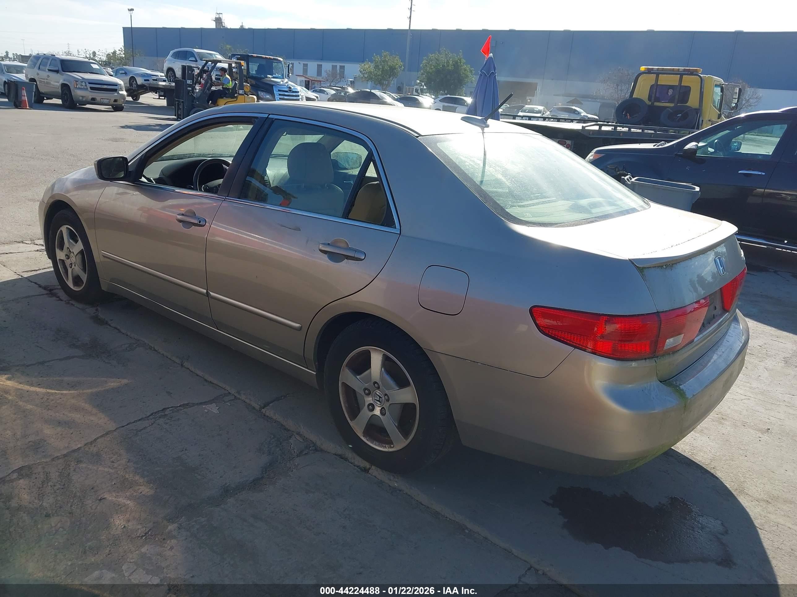 HONDA ACCORD image 3