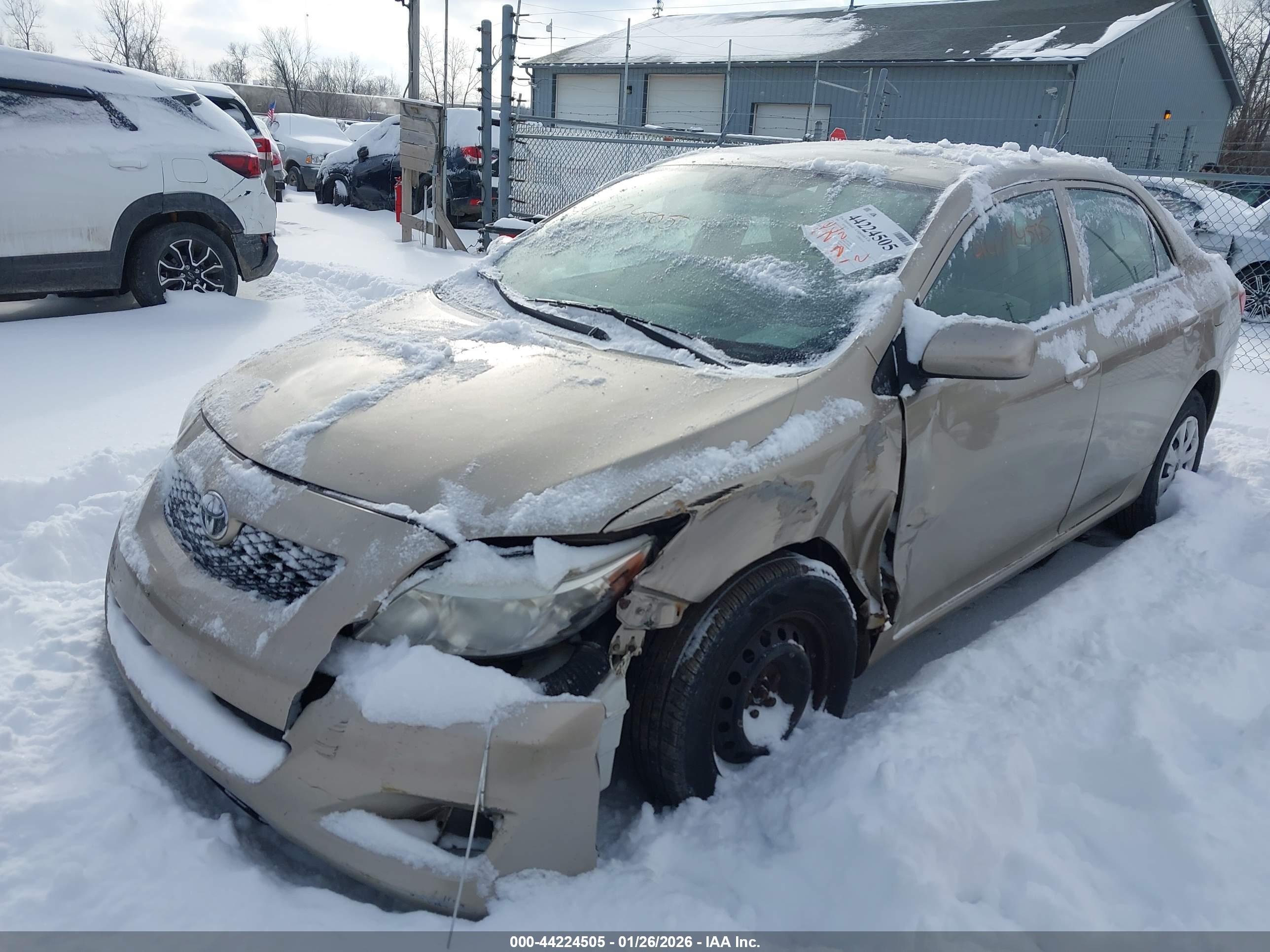 TOYOTA COROLLA image 2
