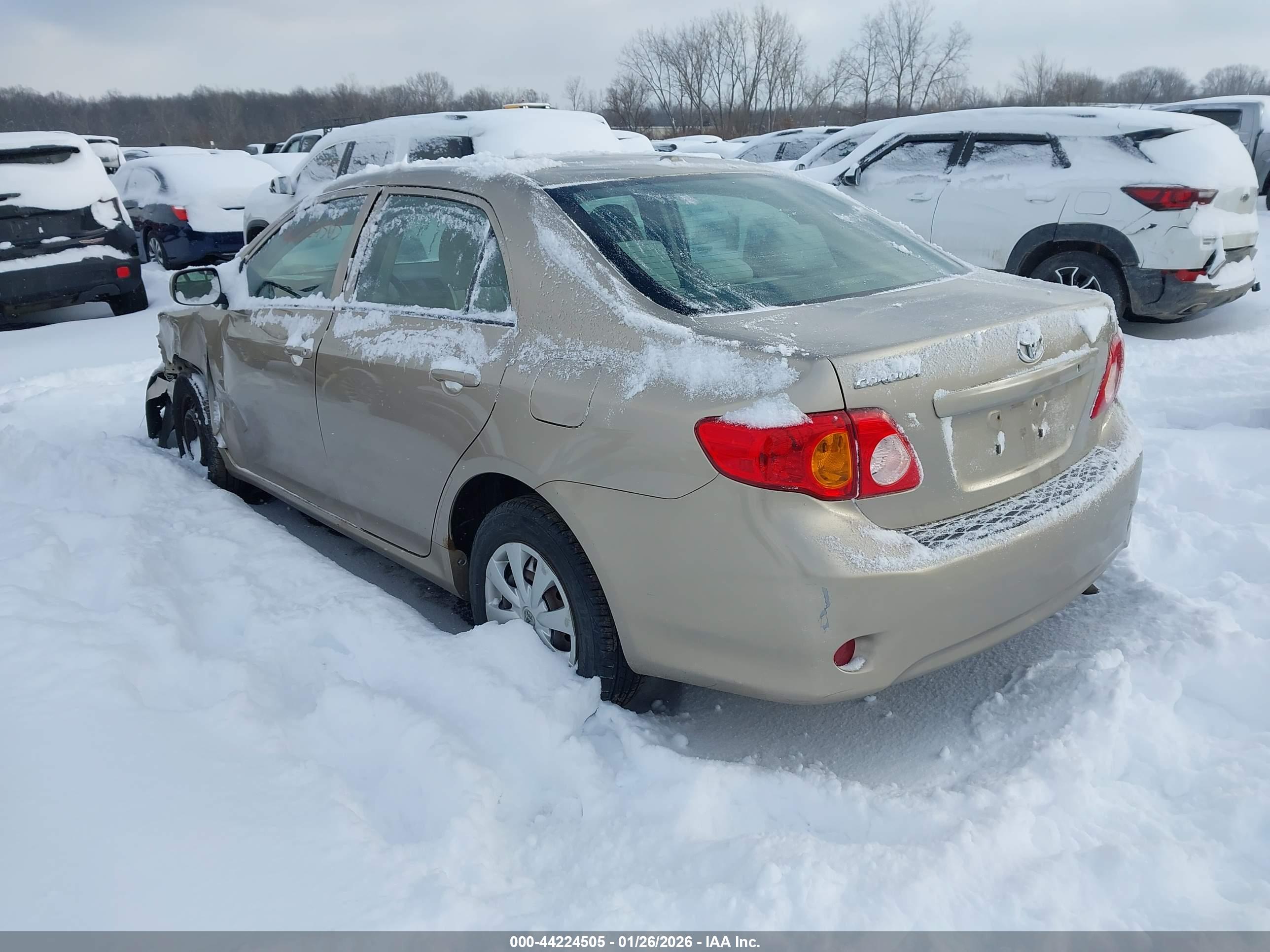 TOYOTA COROLLA image 3