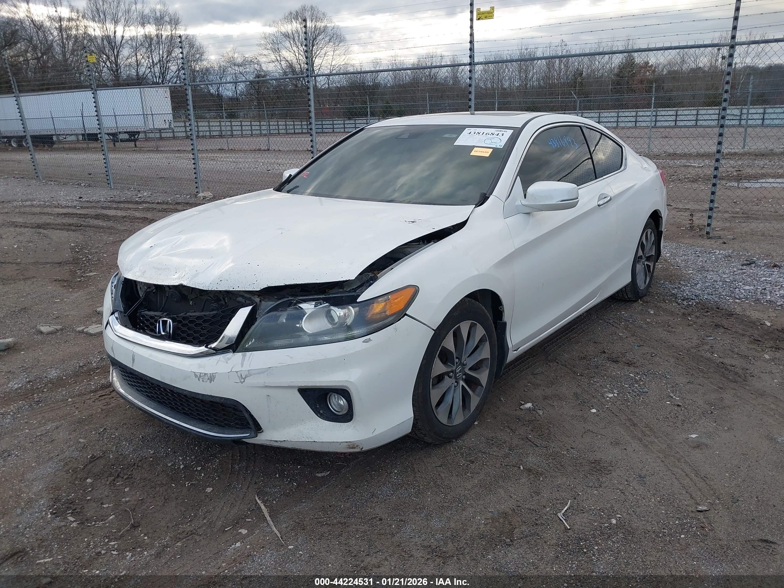 HONDA ACCORD image 2