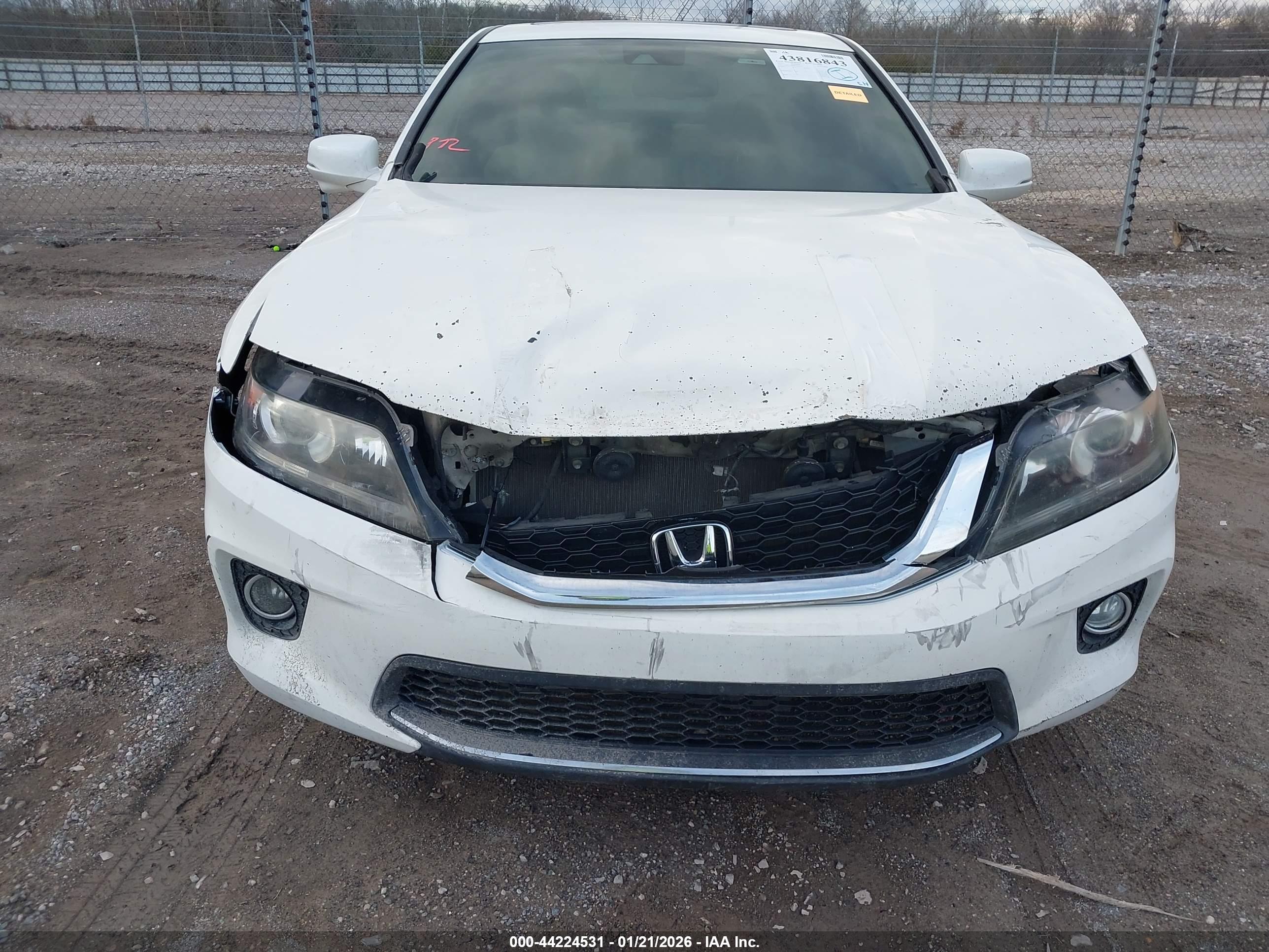 HONDA ACCORD image 6