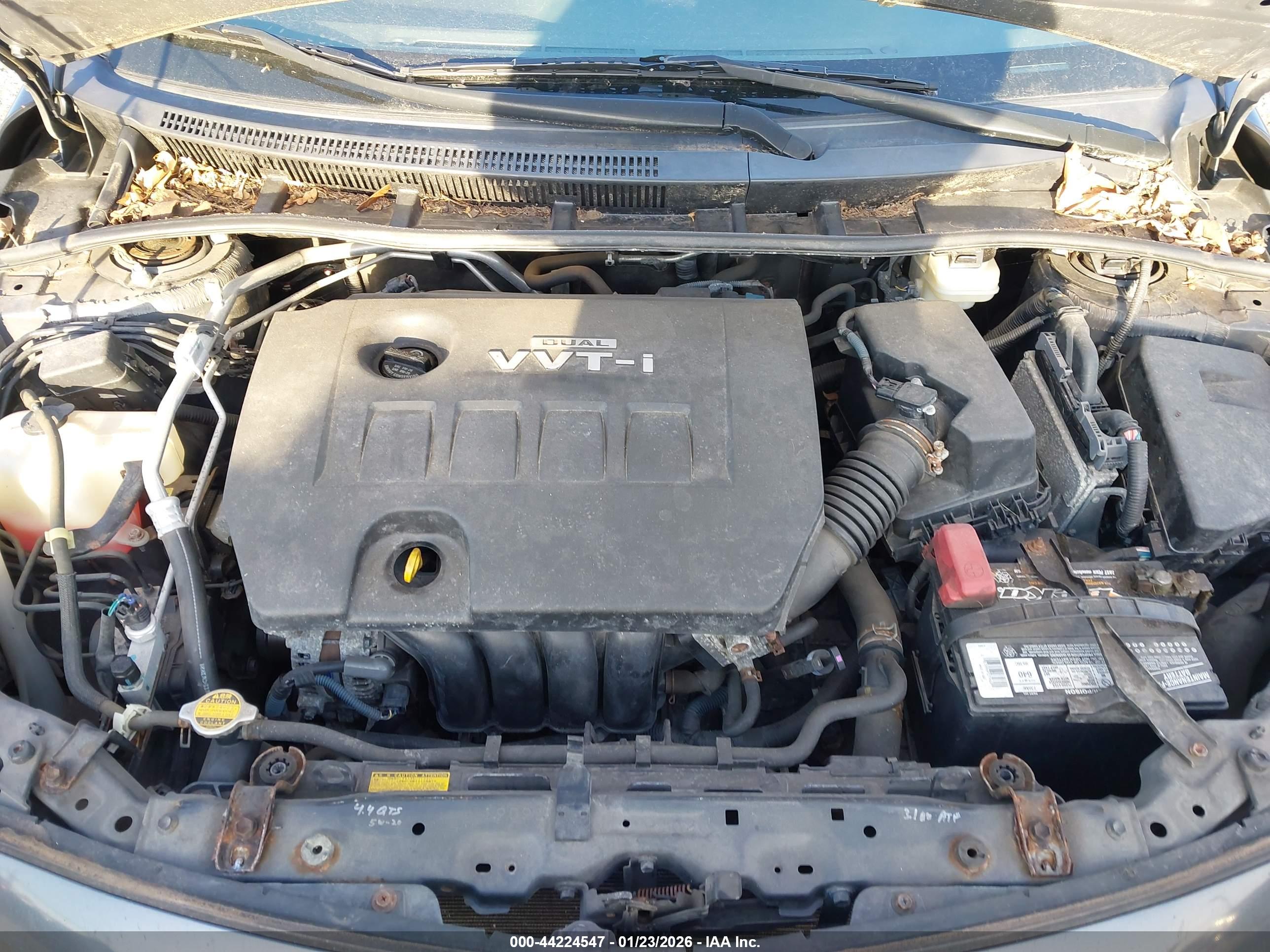 TOYOTA COROLLA image 10