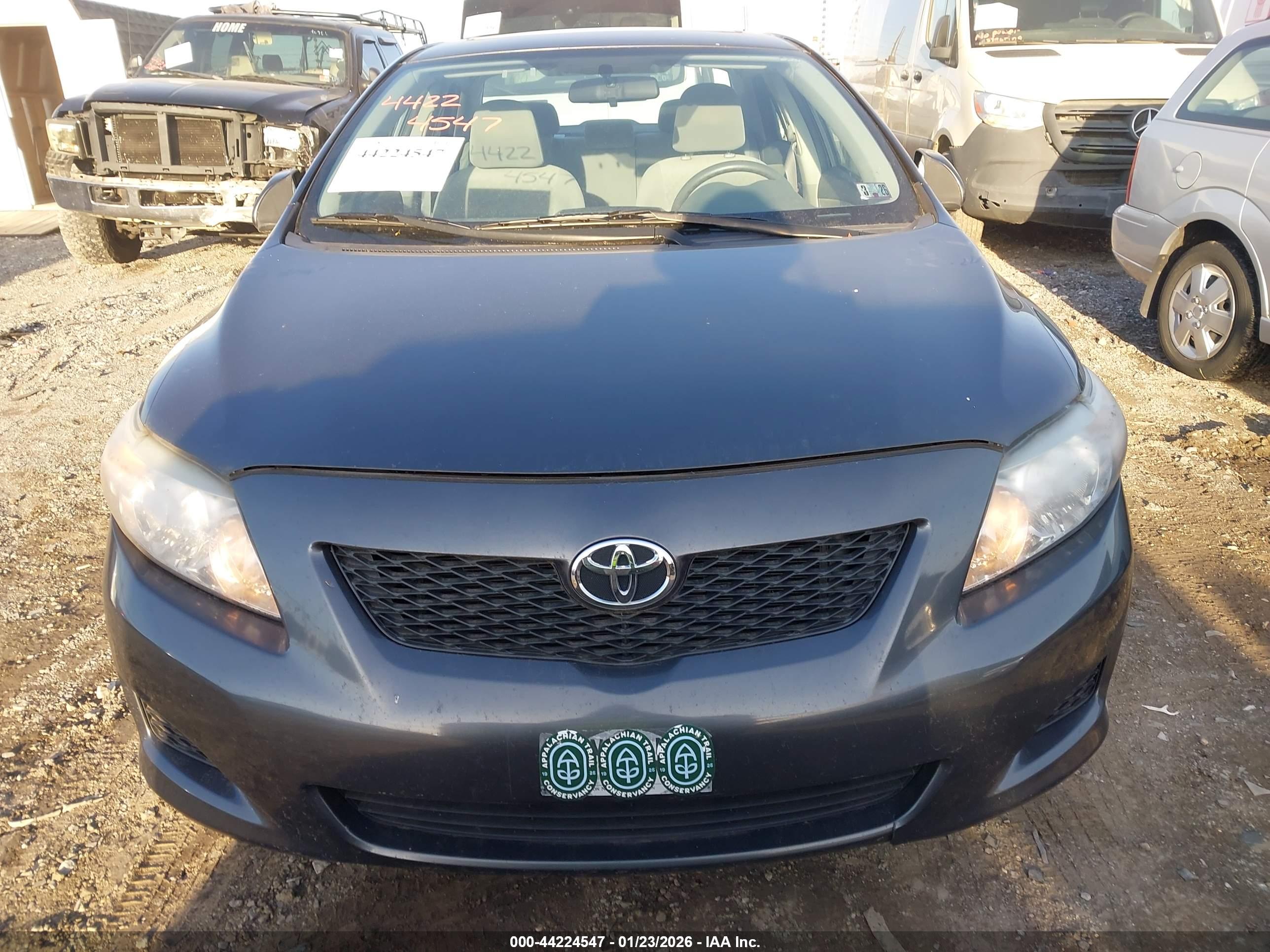 TOYOTA COROLLA image 6