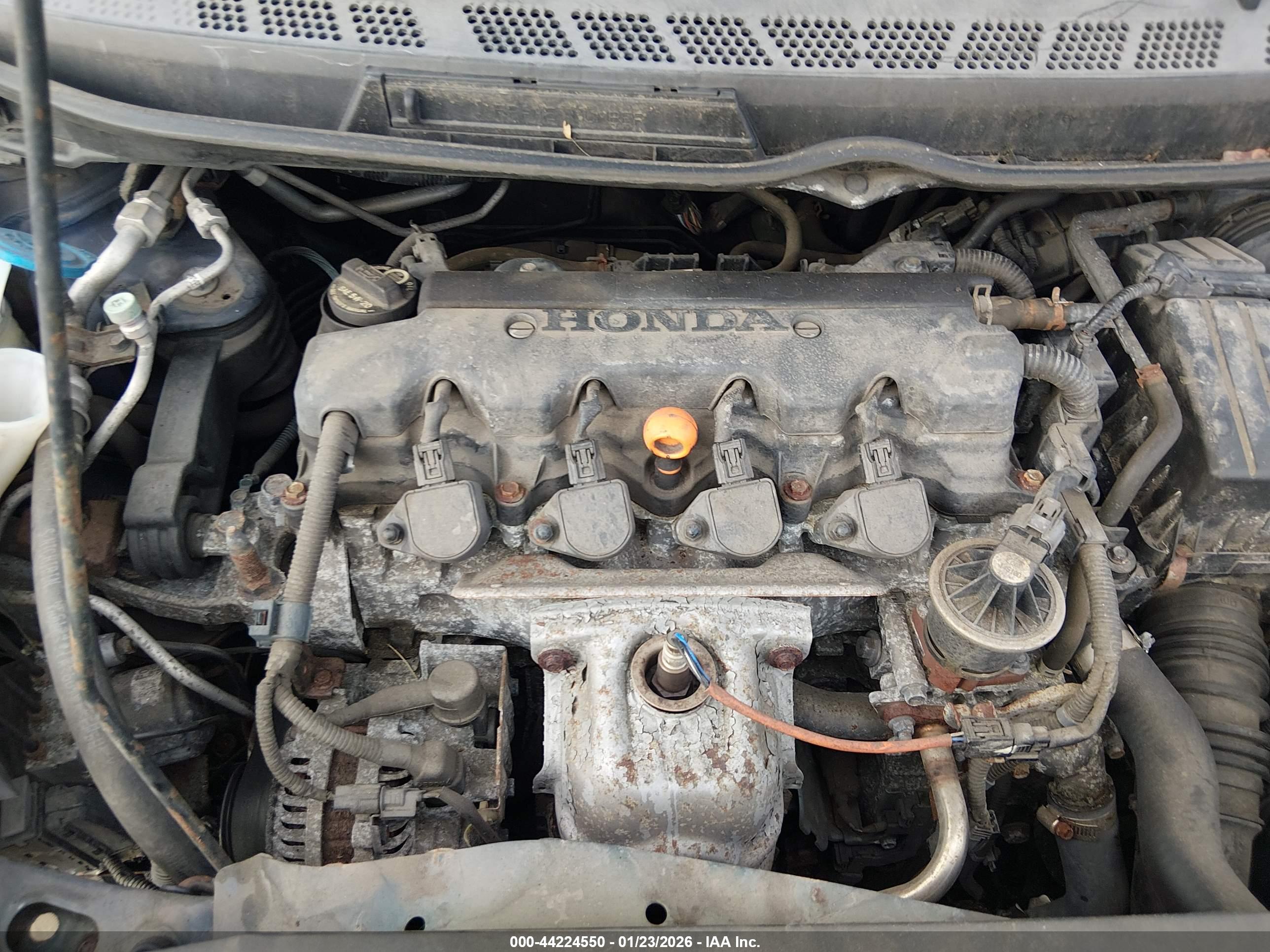 HONDA CIVIC image 10