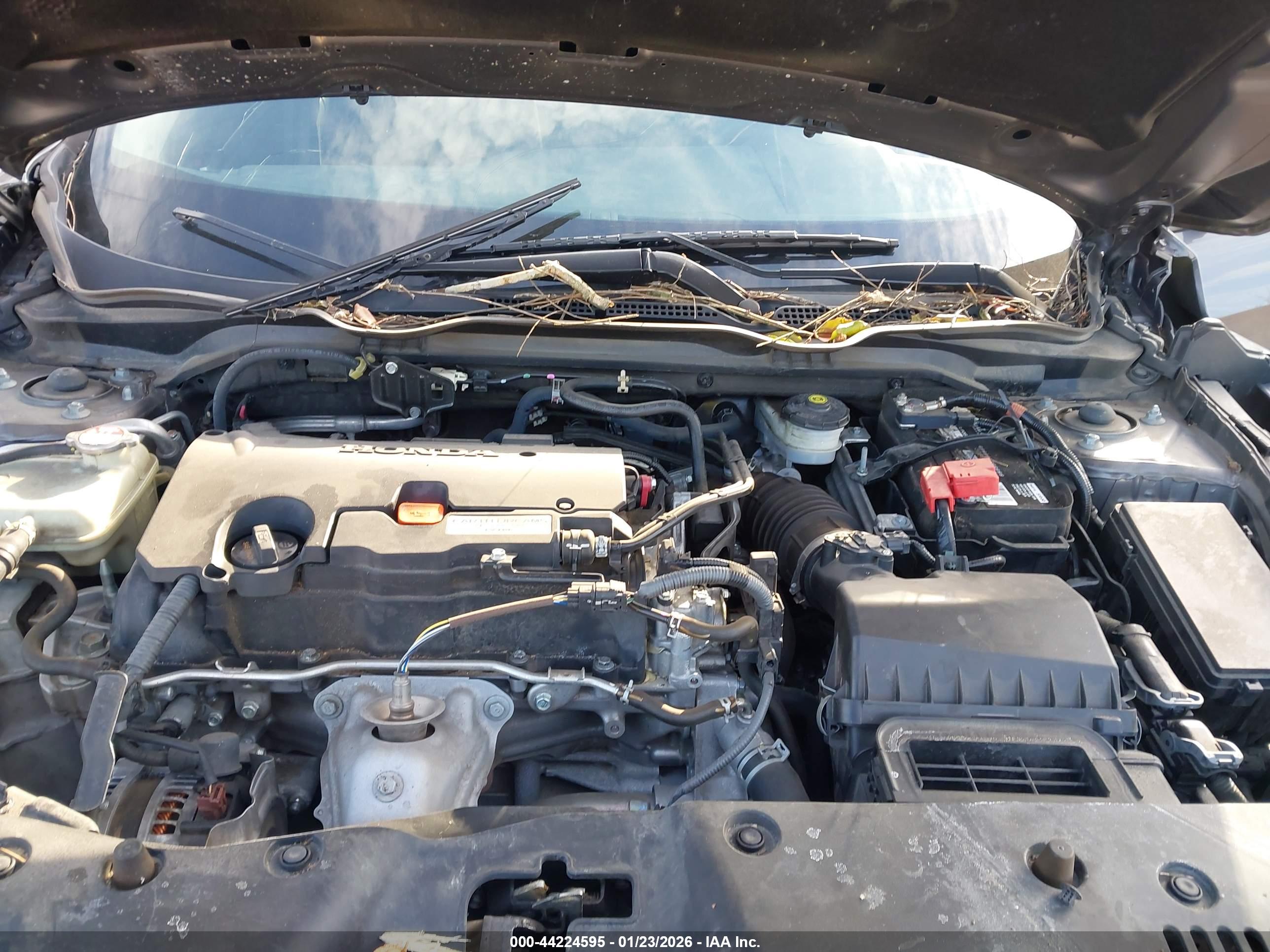 HONDA CIVIC image 10