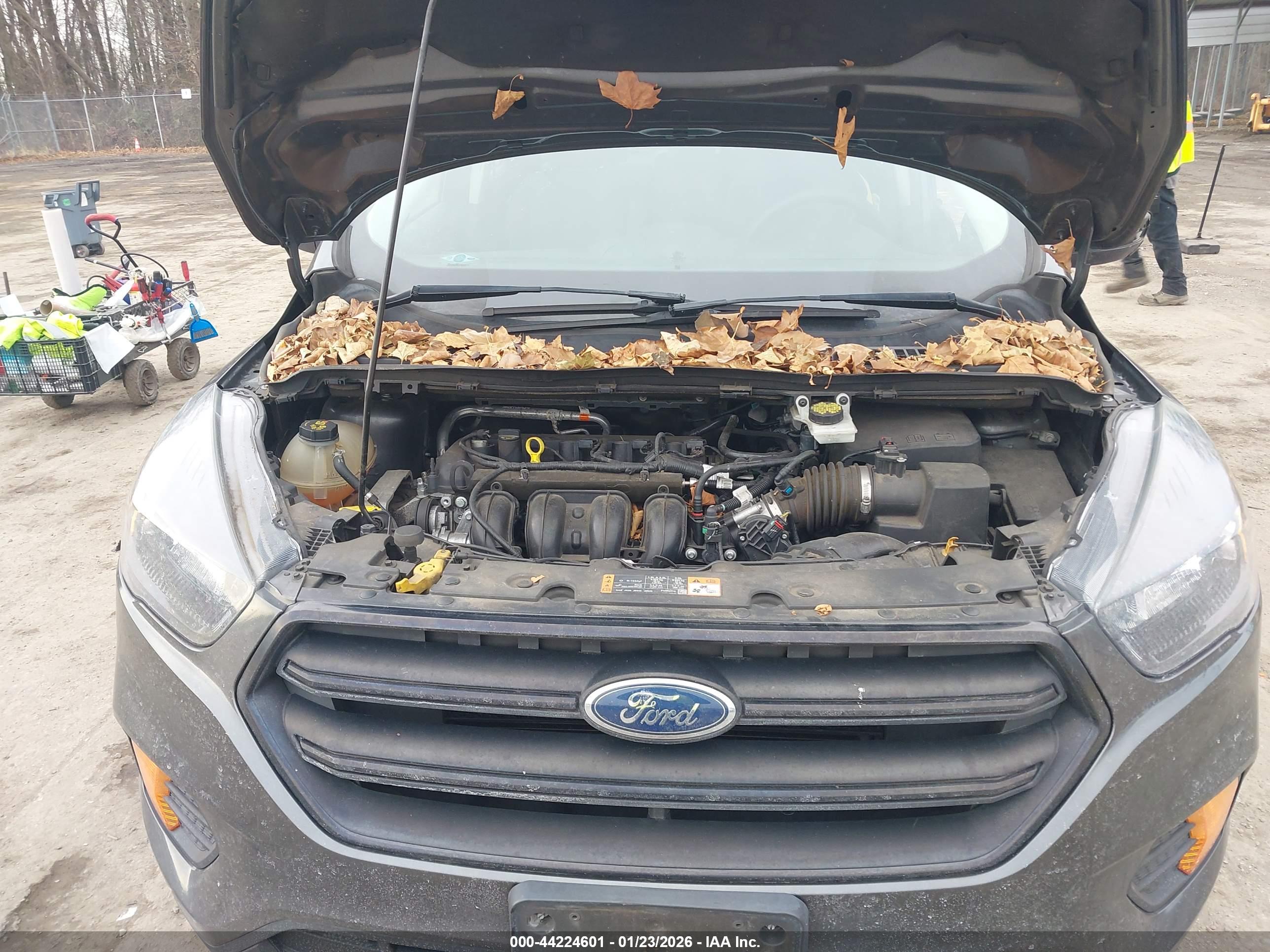 FORD ESCAPE image 10
