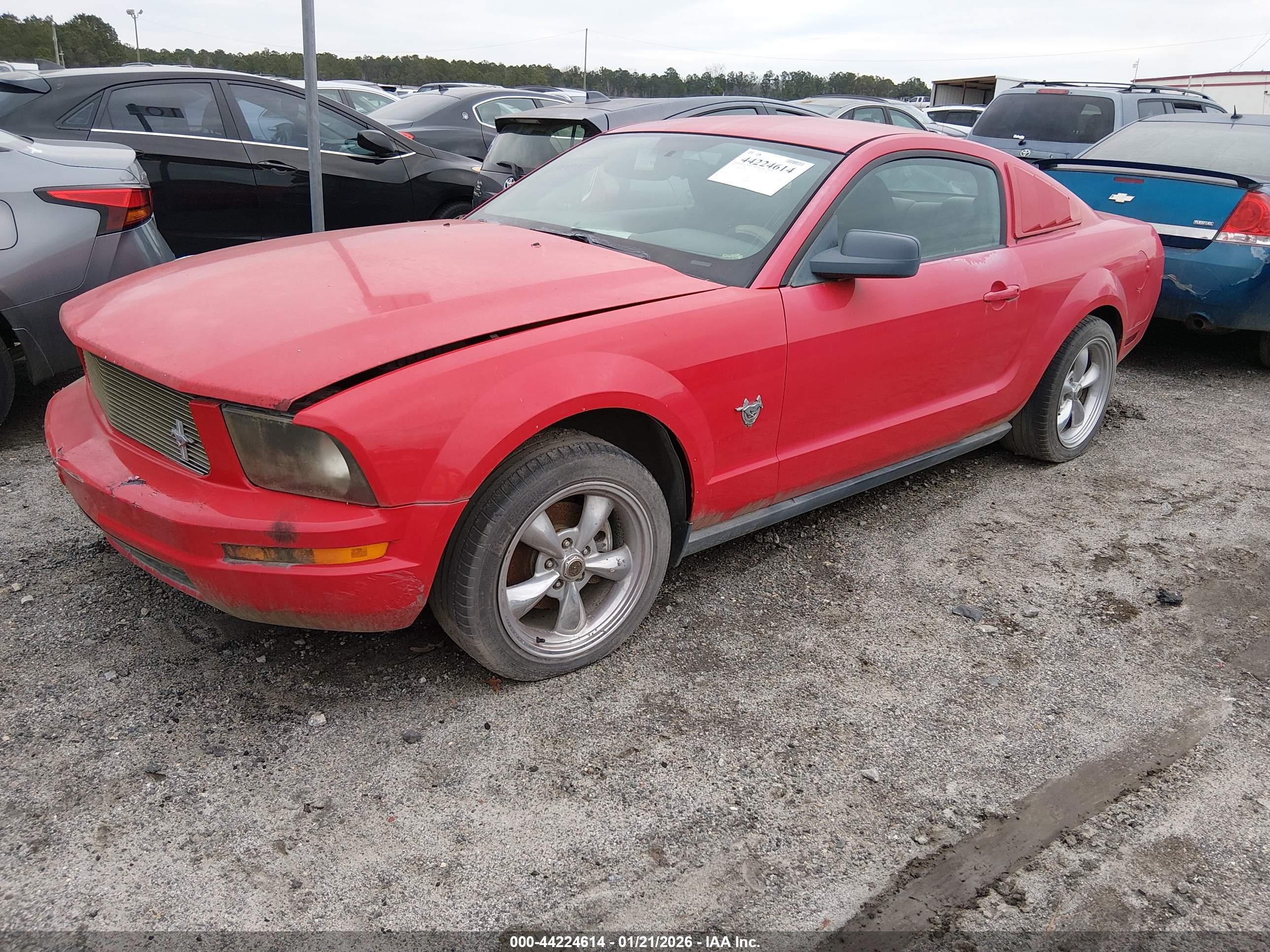 FORD MUSTANG image 2