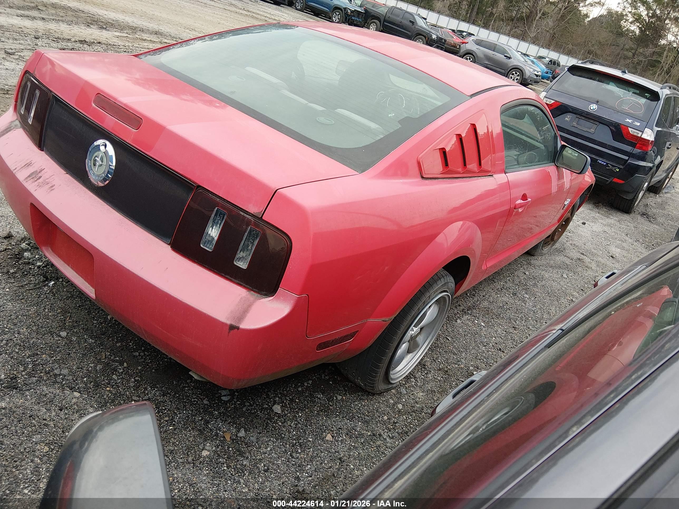 FORD MUSTANG image 4