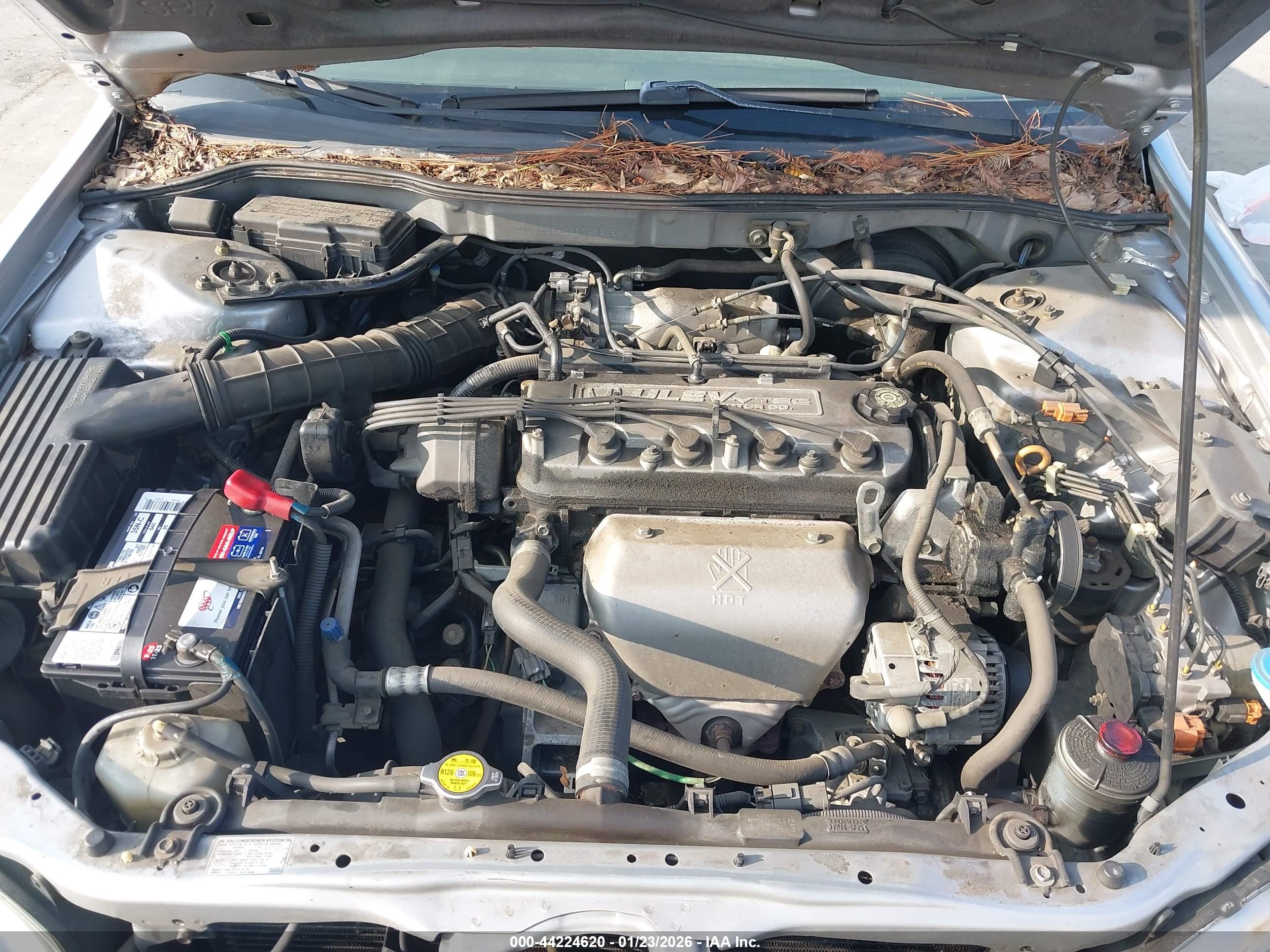 HONDA ACCORD image 10
