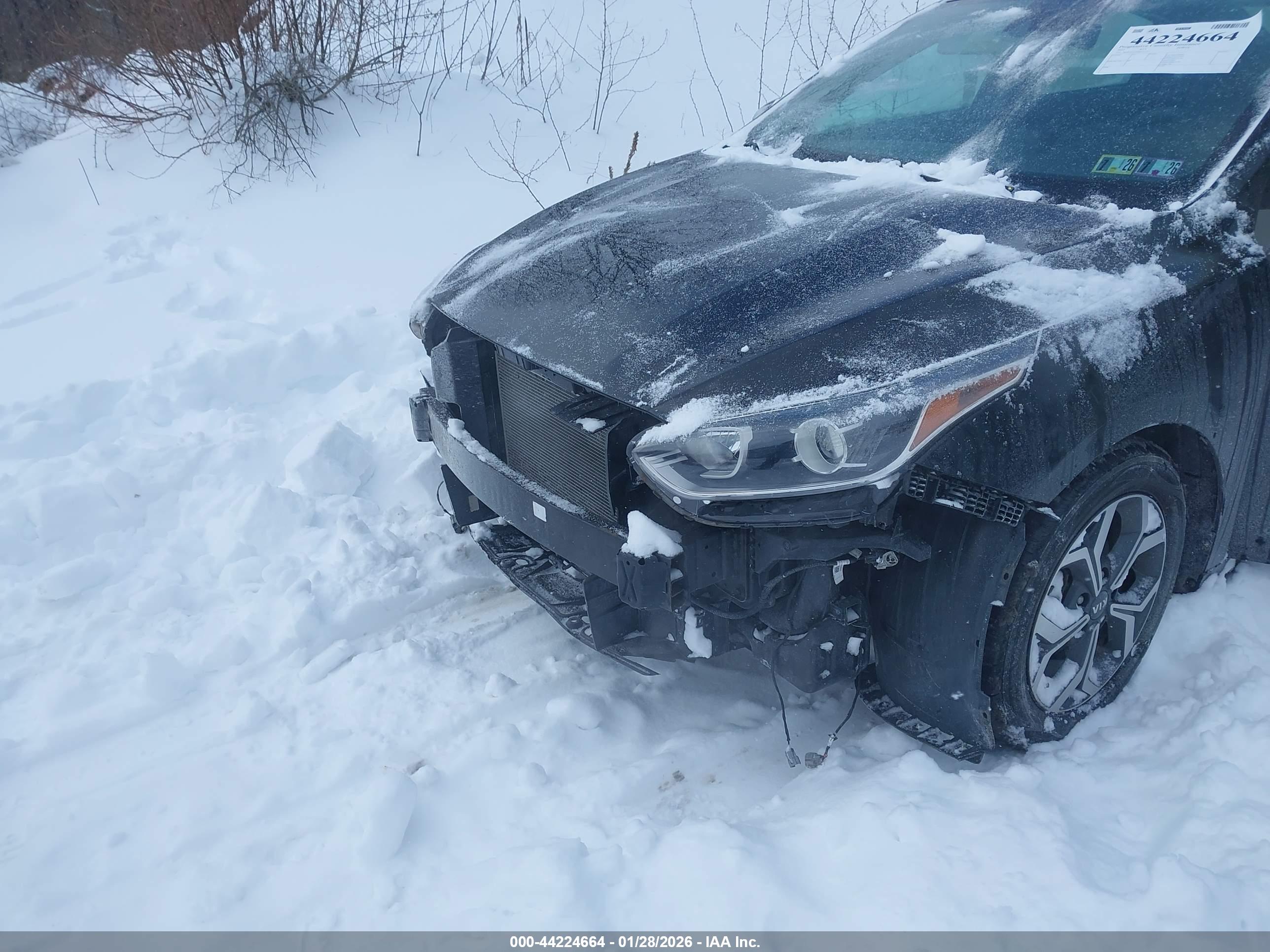 KIA FORTE image 6