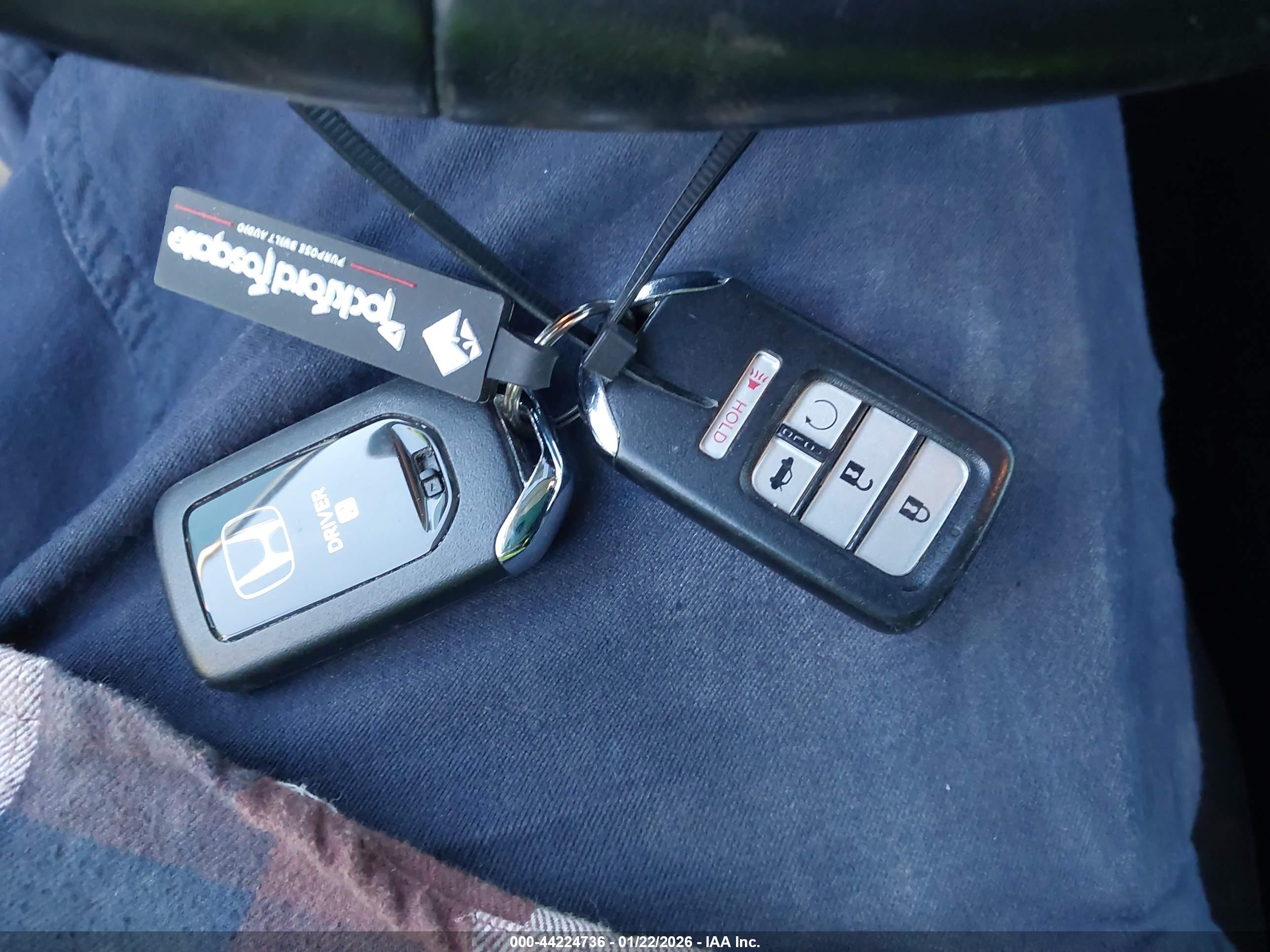 HONDA ACCORD image 11