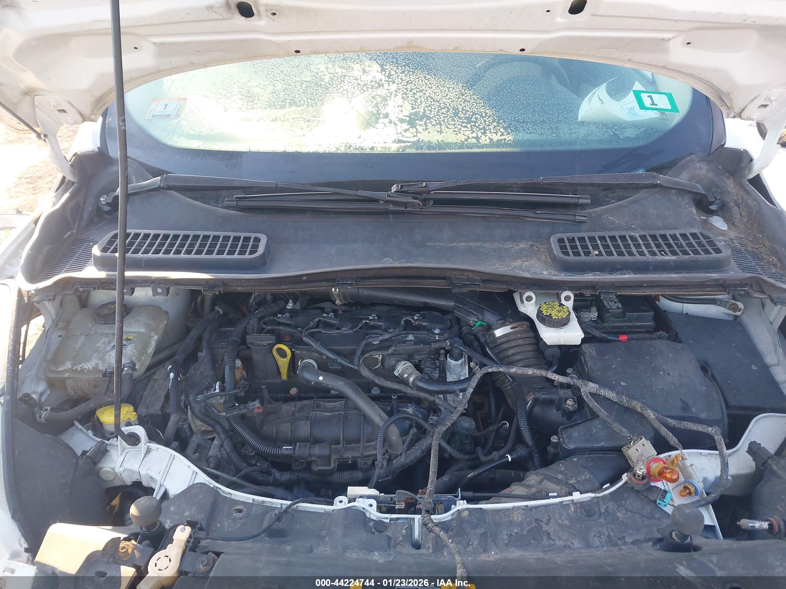 FORD ESCAPE image 10
