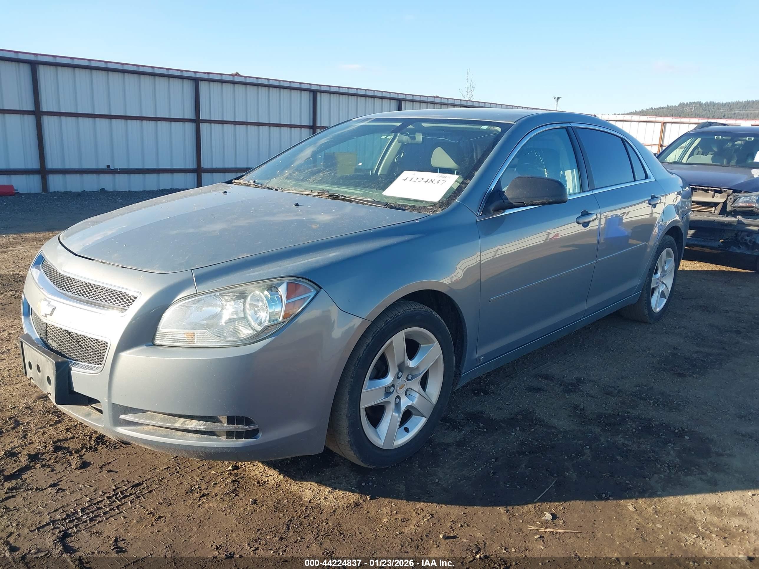CHEVROLET MALIBU image 2