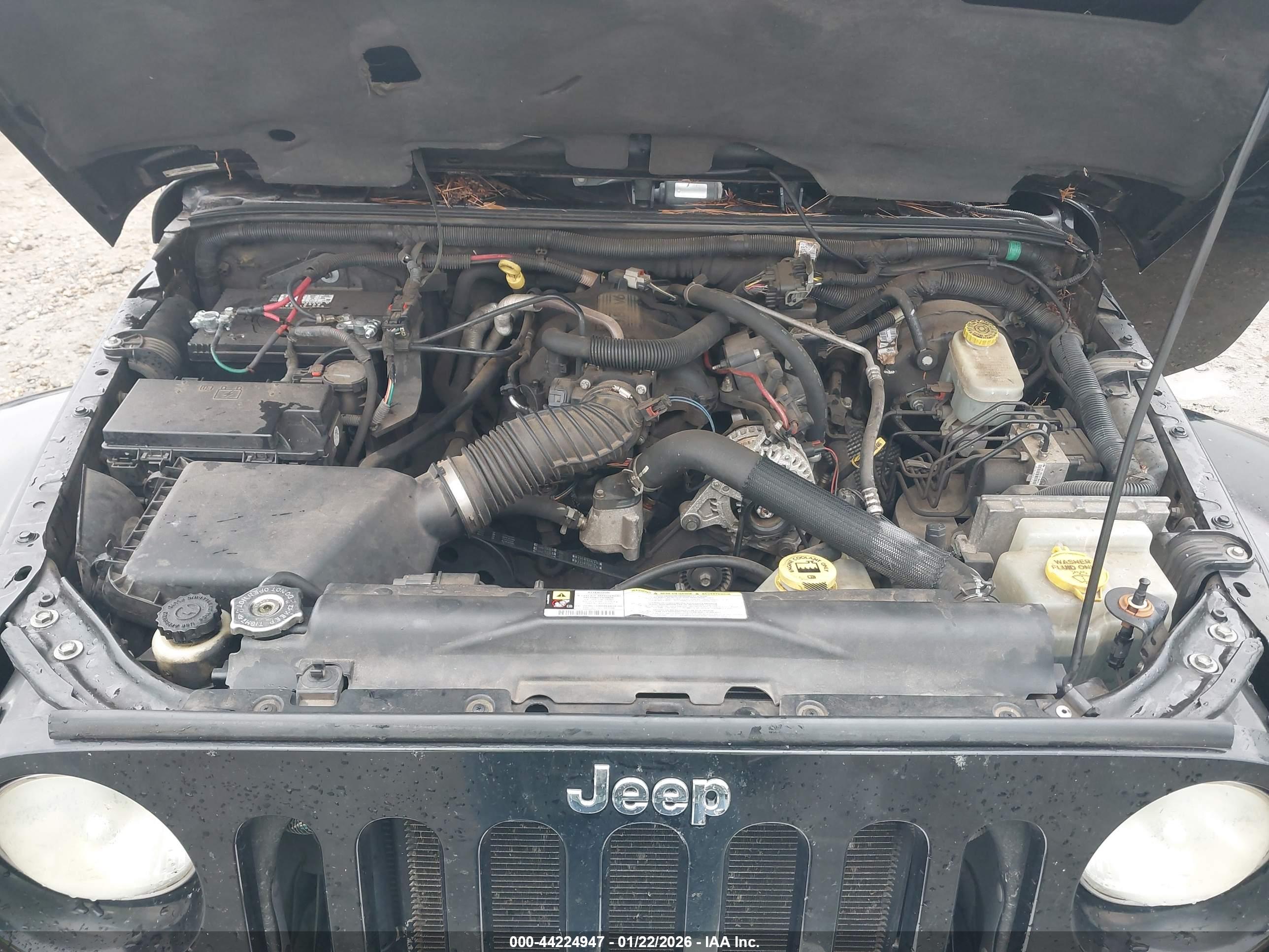 JEEP WRANGLER image 10