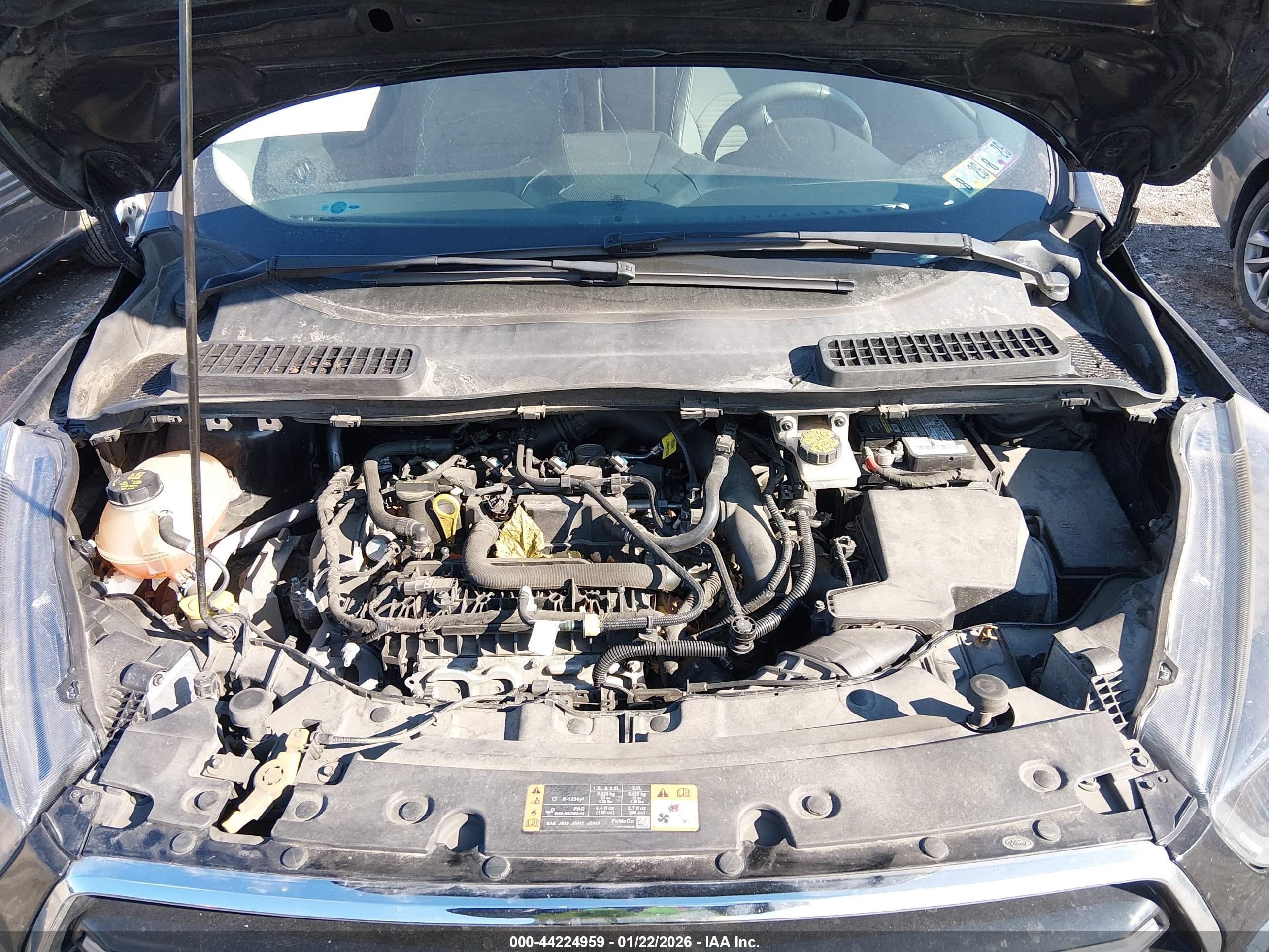 FORD ESCAPE image 10