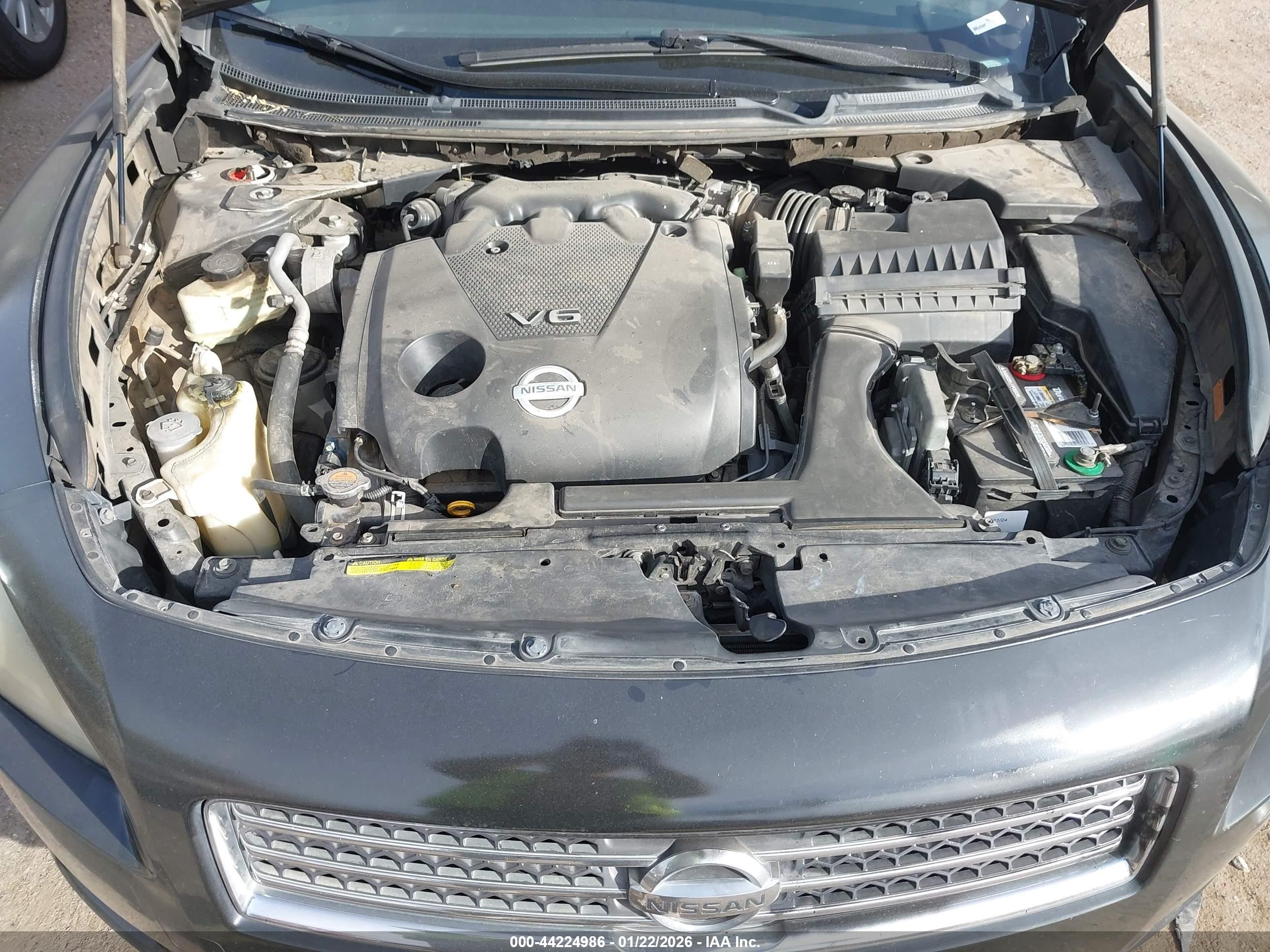 NISSAN MAXIMA image 10