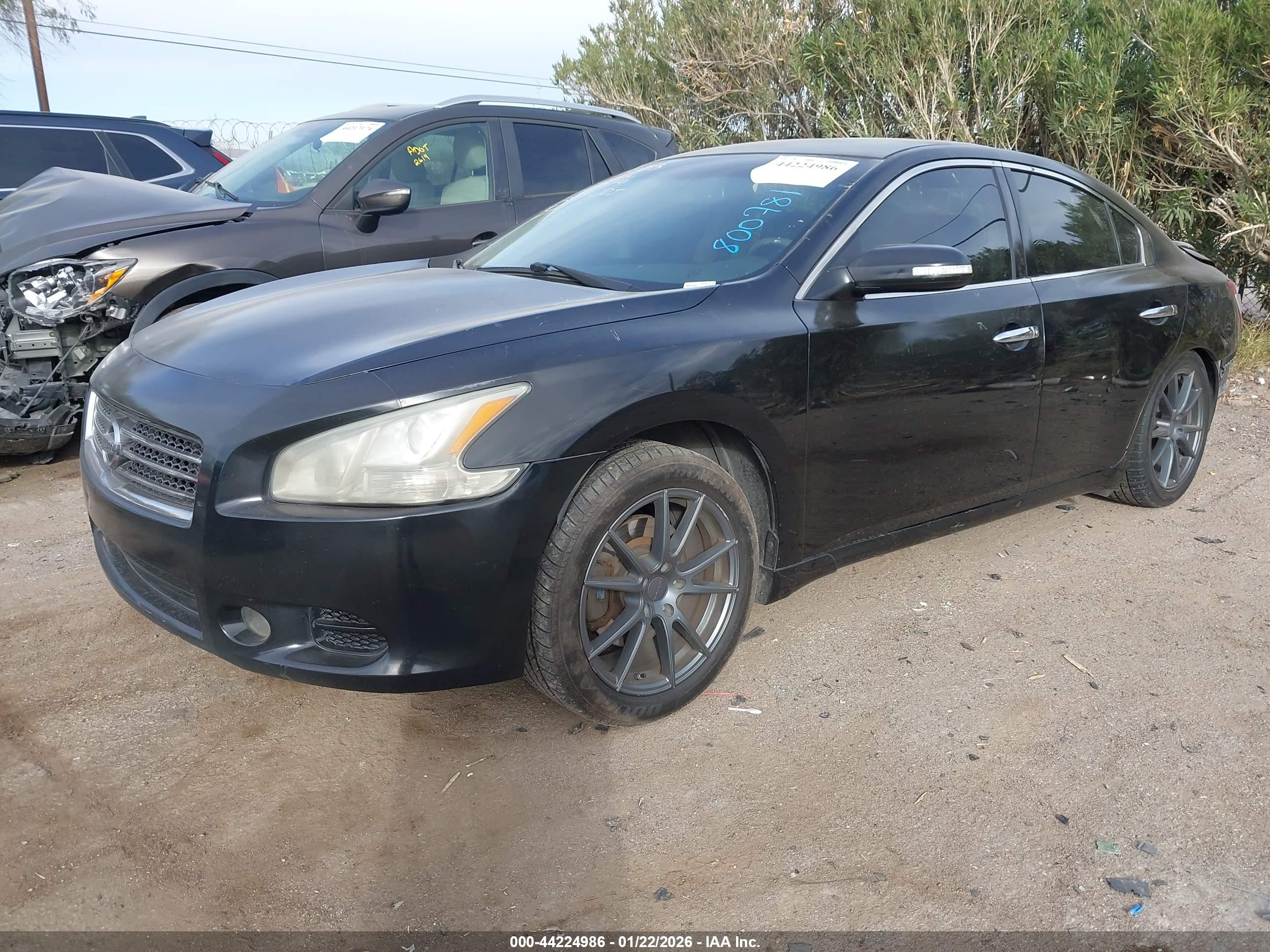 NISSAN MAXIMA image 2