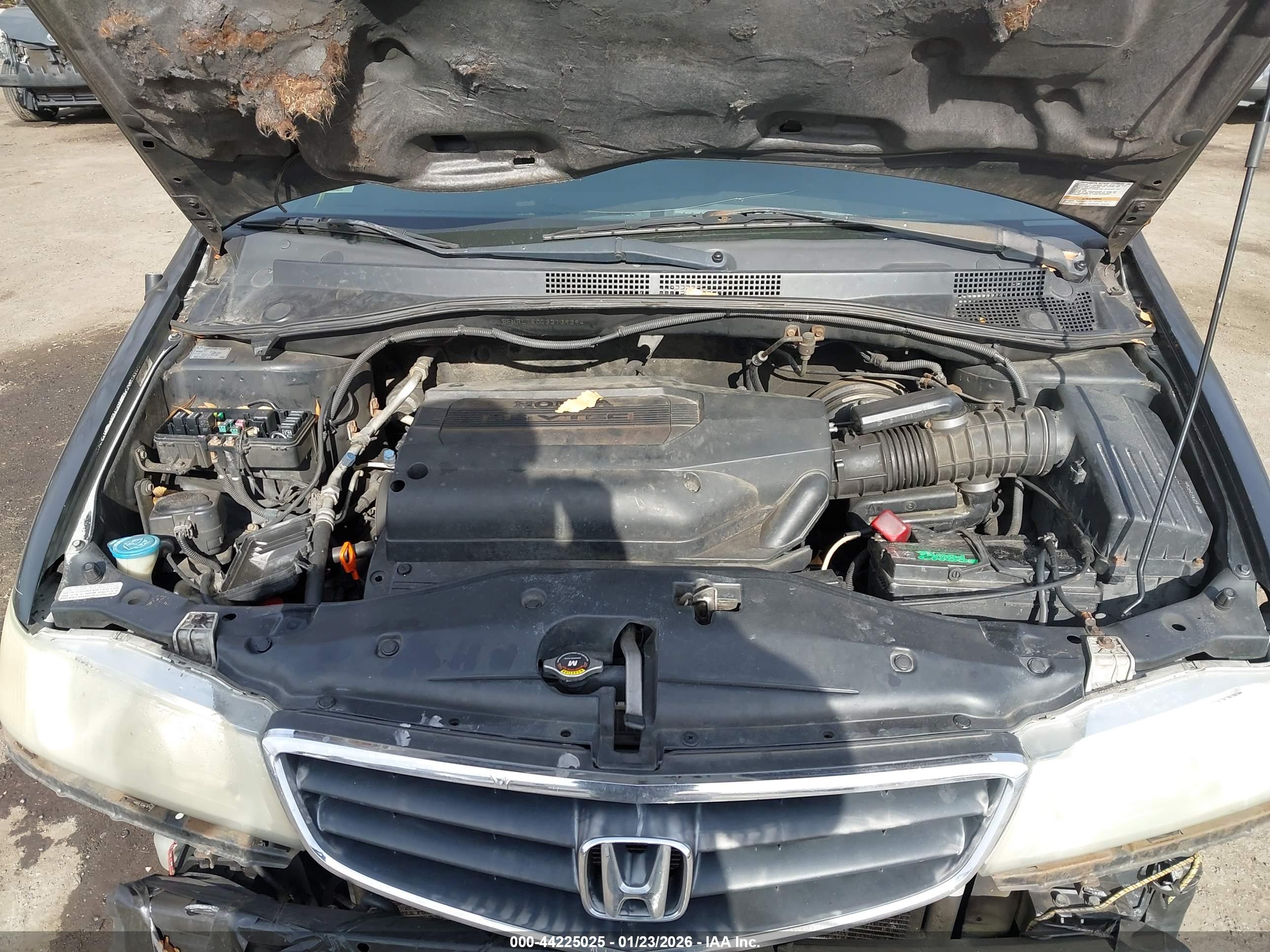 HONDA ODYSSEY image 10