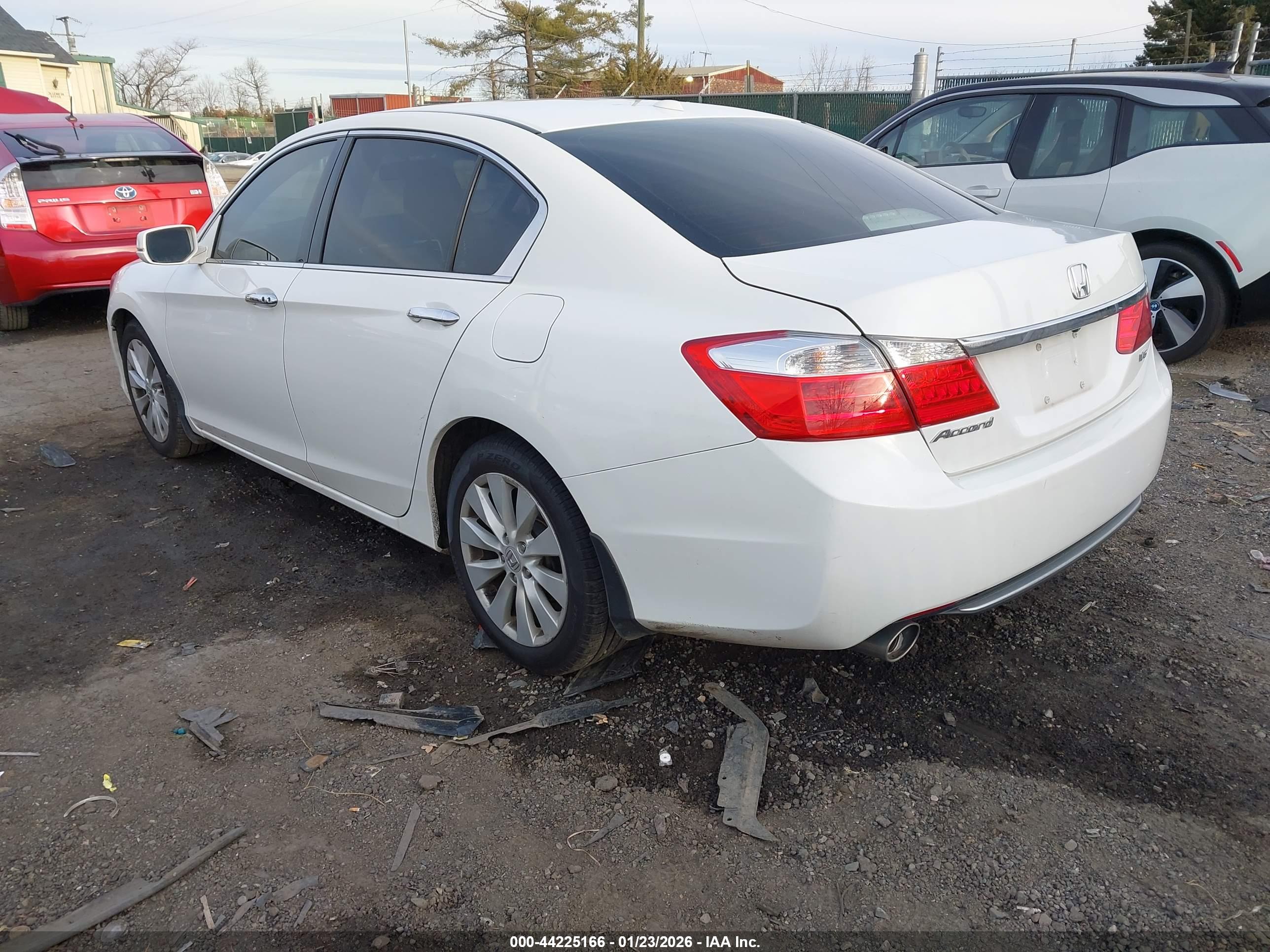 HONDA ACCORD image 3