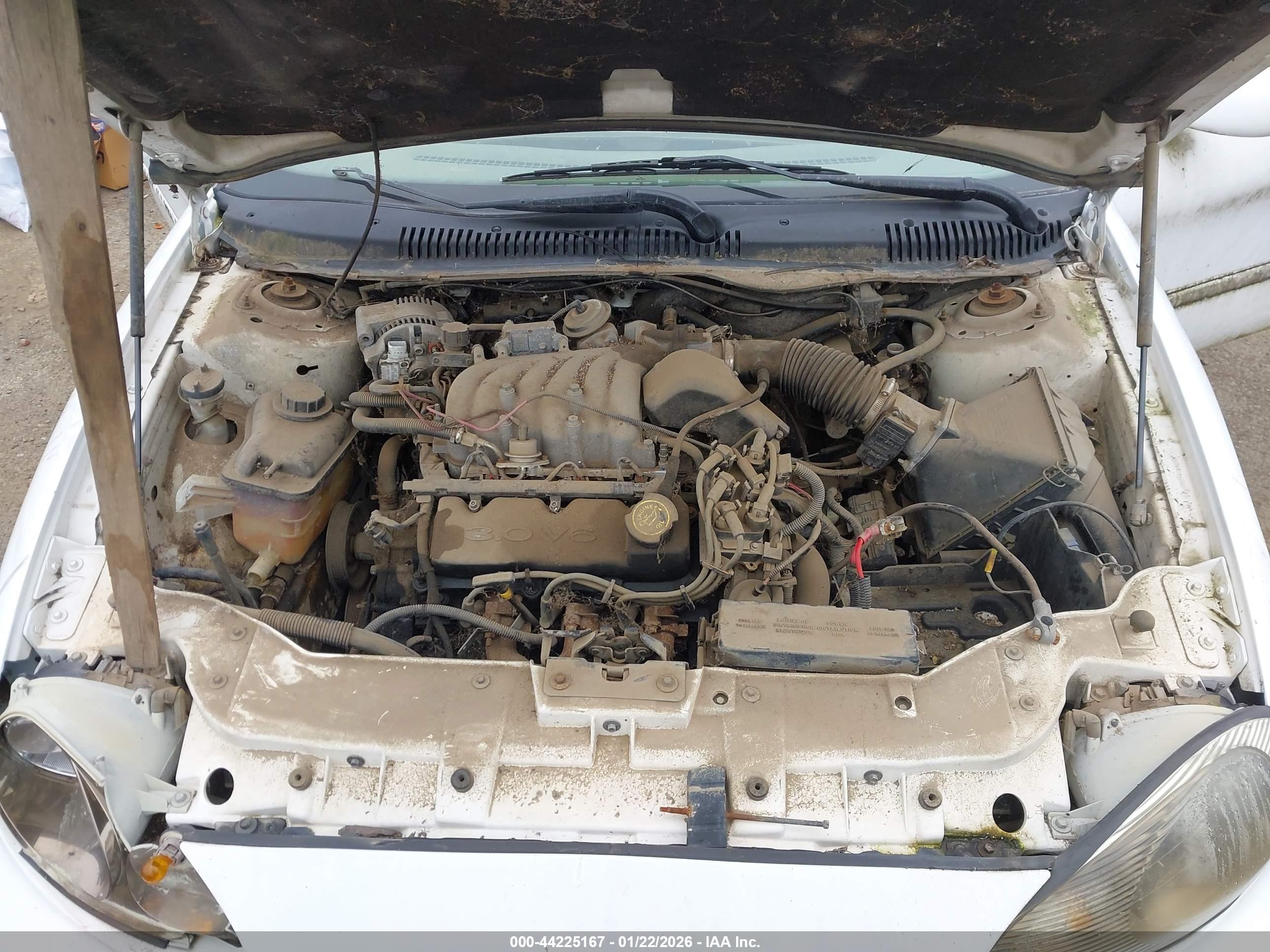 MERCURY SABLE image 10