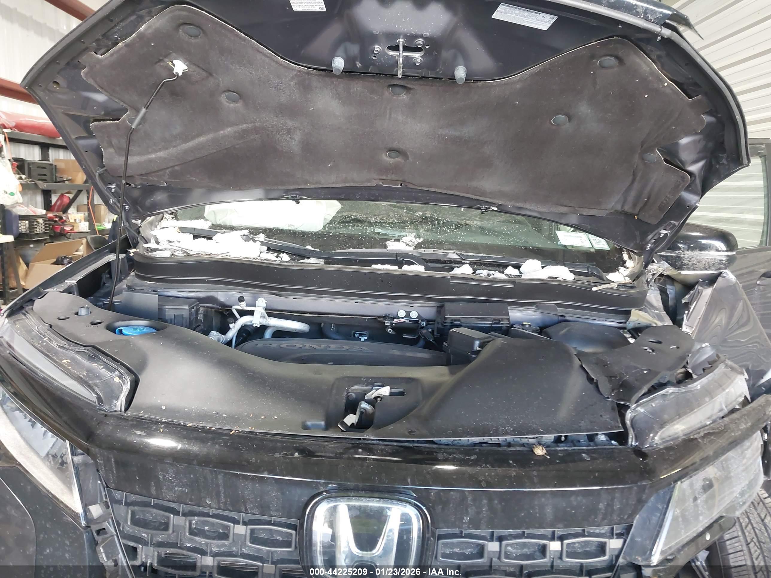 HONDA PASSPORT image 10