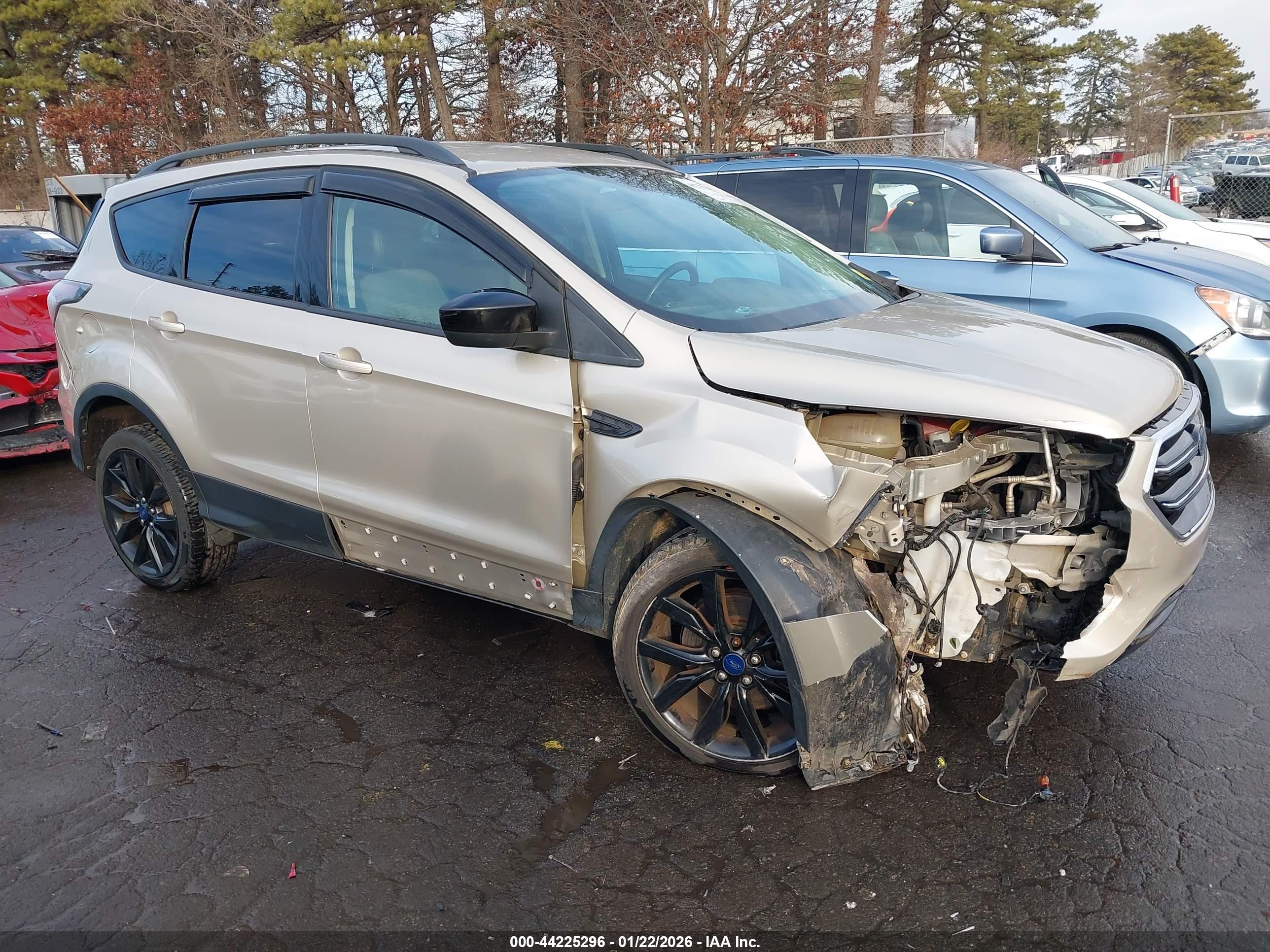 FORD ESCAPE image 6