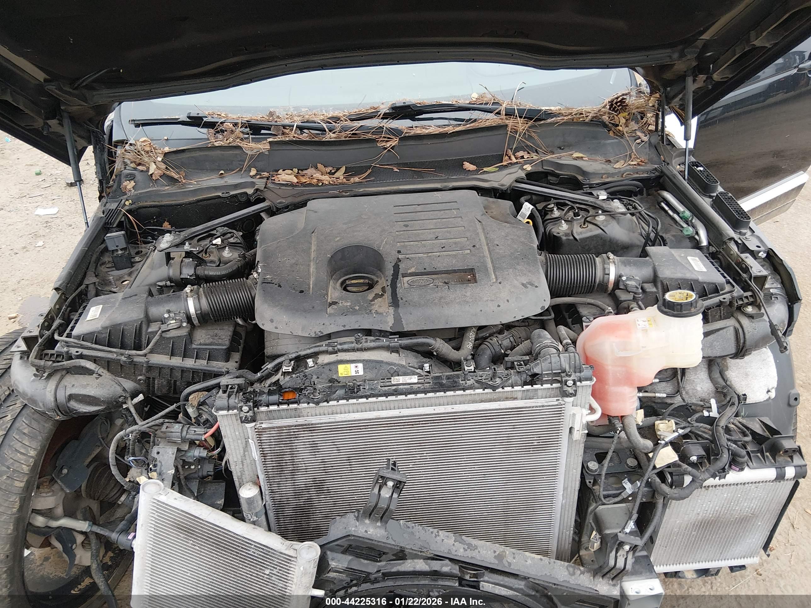LAND ROVER image 10