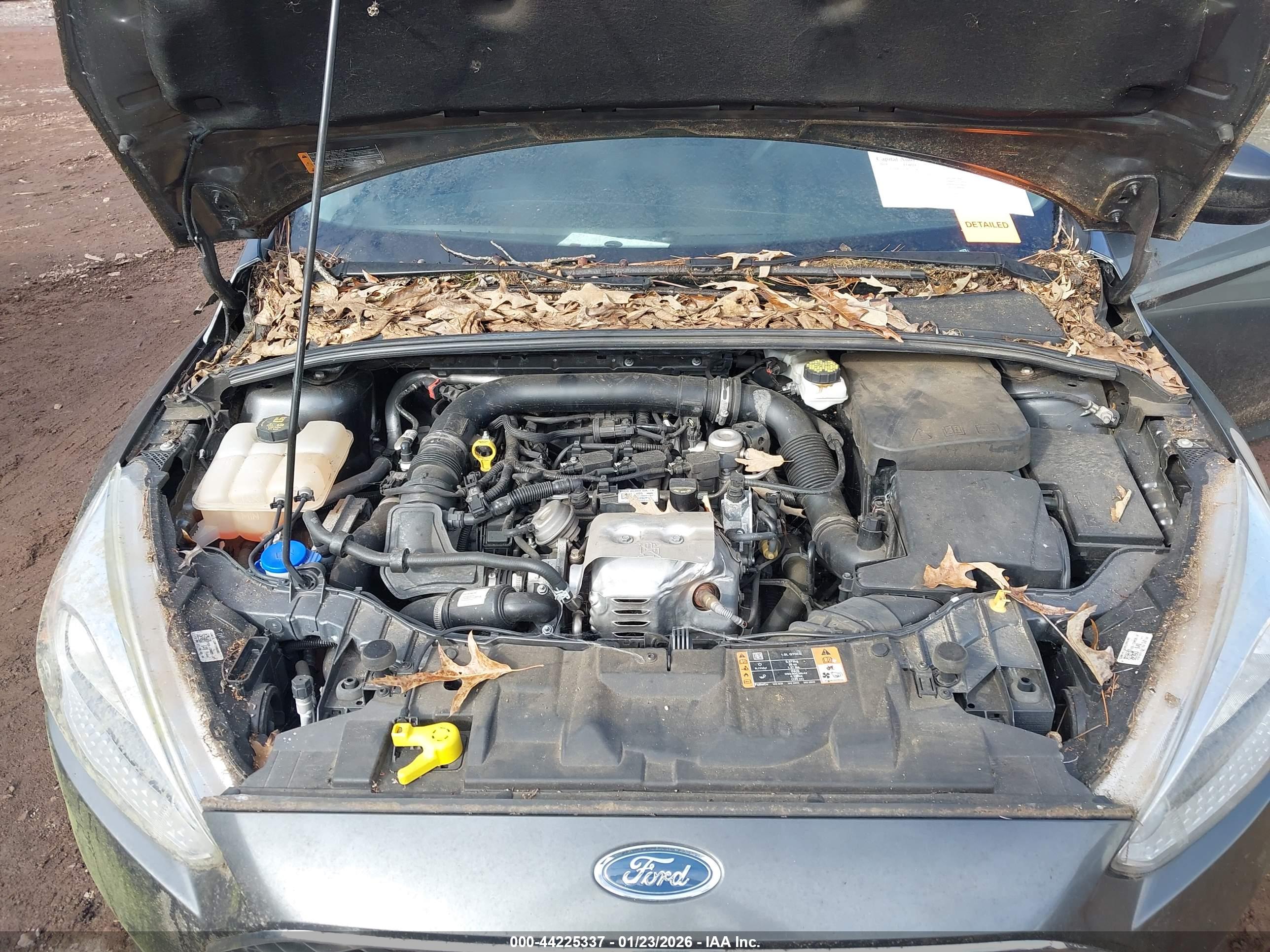 FORD FOCUS image 10