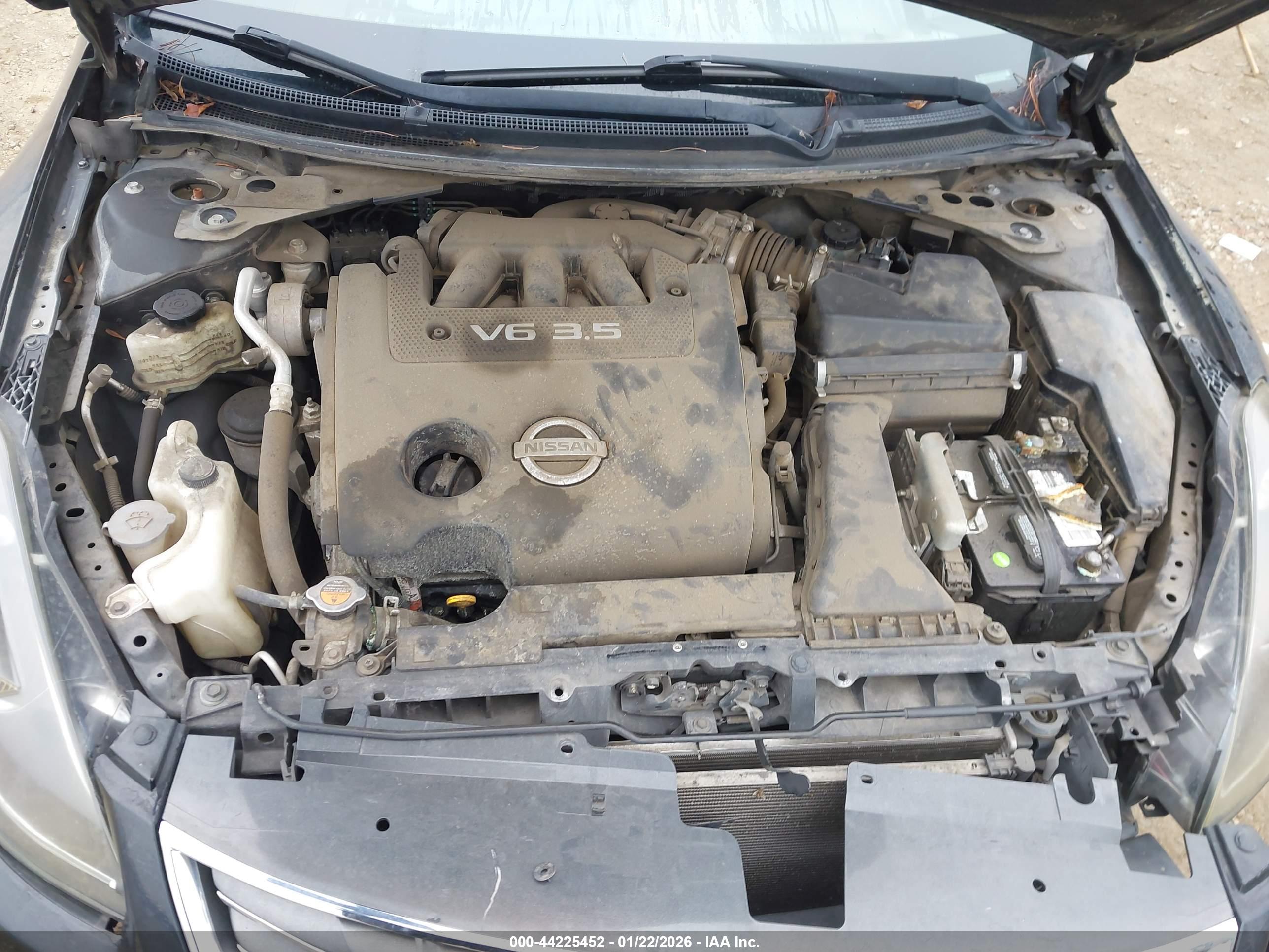 NISSAN ALTIMA image 10