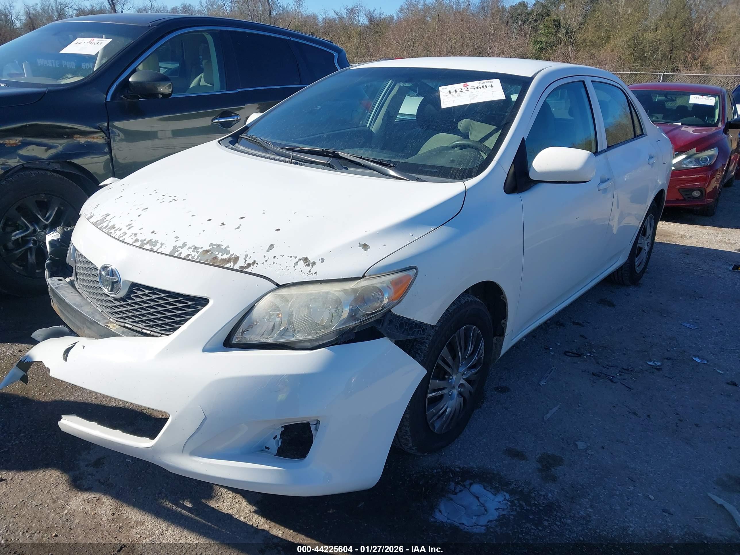 TOYOTA COROLLA image 2