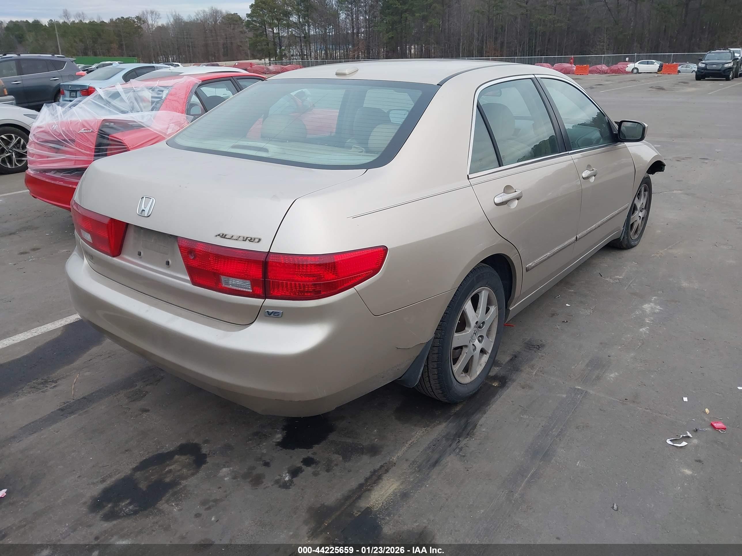 HONDA ACCORD image 4