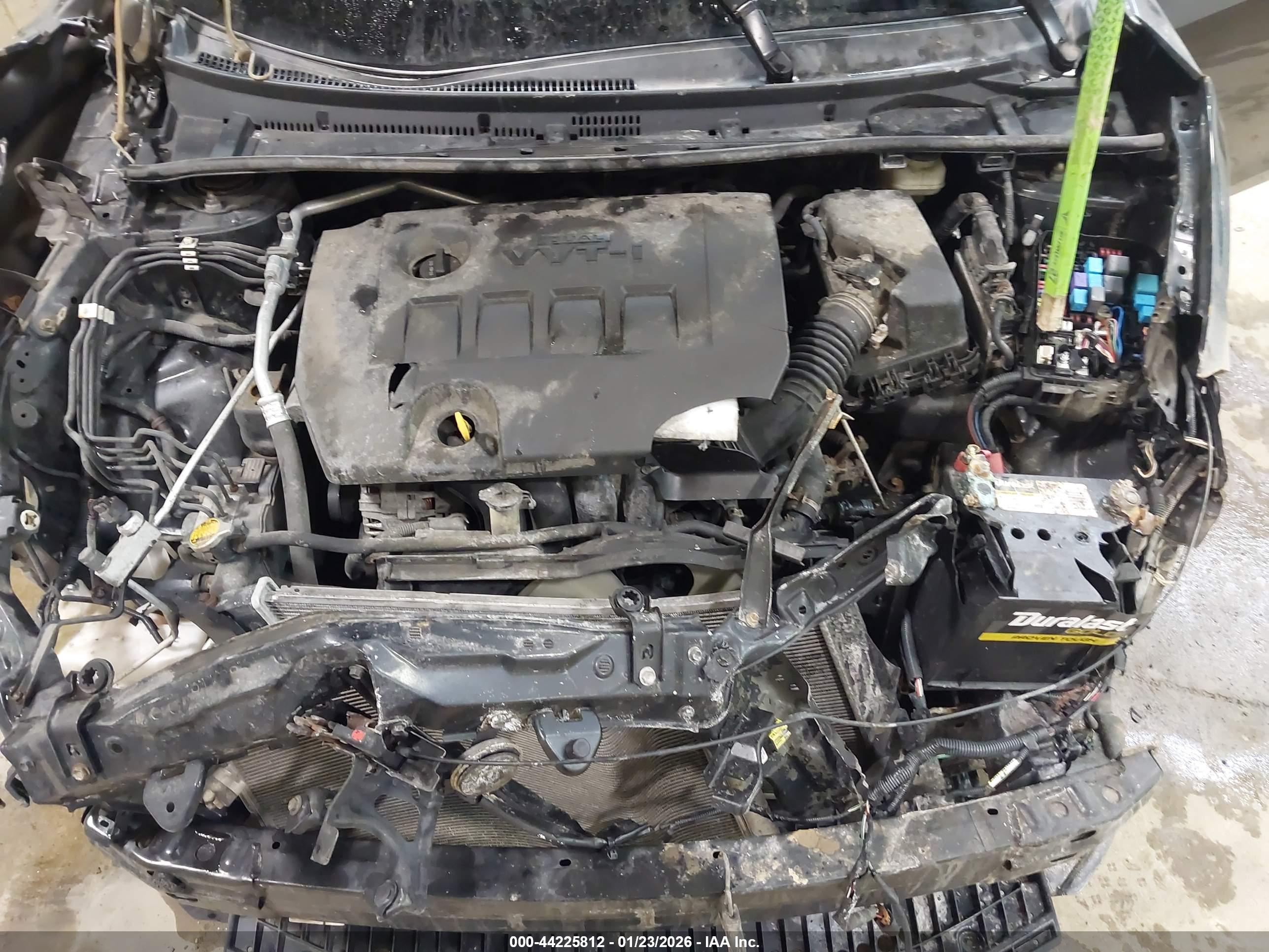 TOYOTA COROLLA image 10