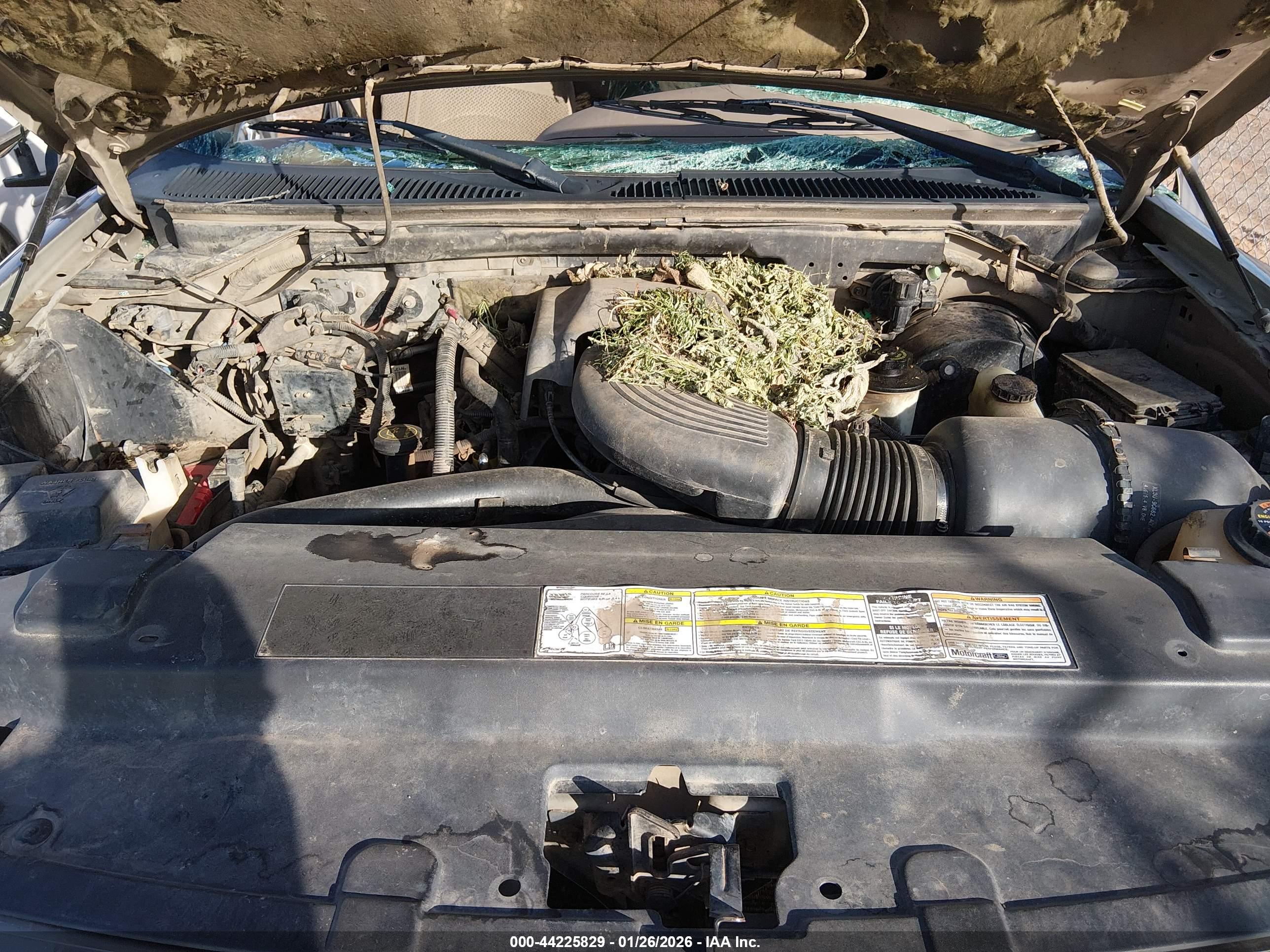 FORD F-150 image 10