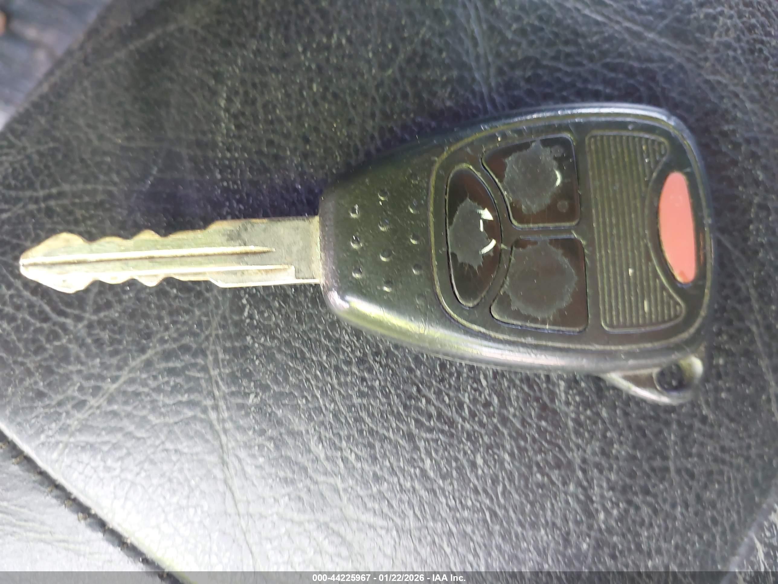JEEP WRANGLER image 11