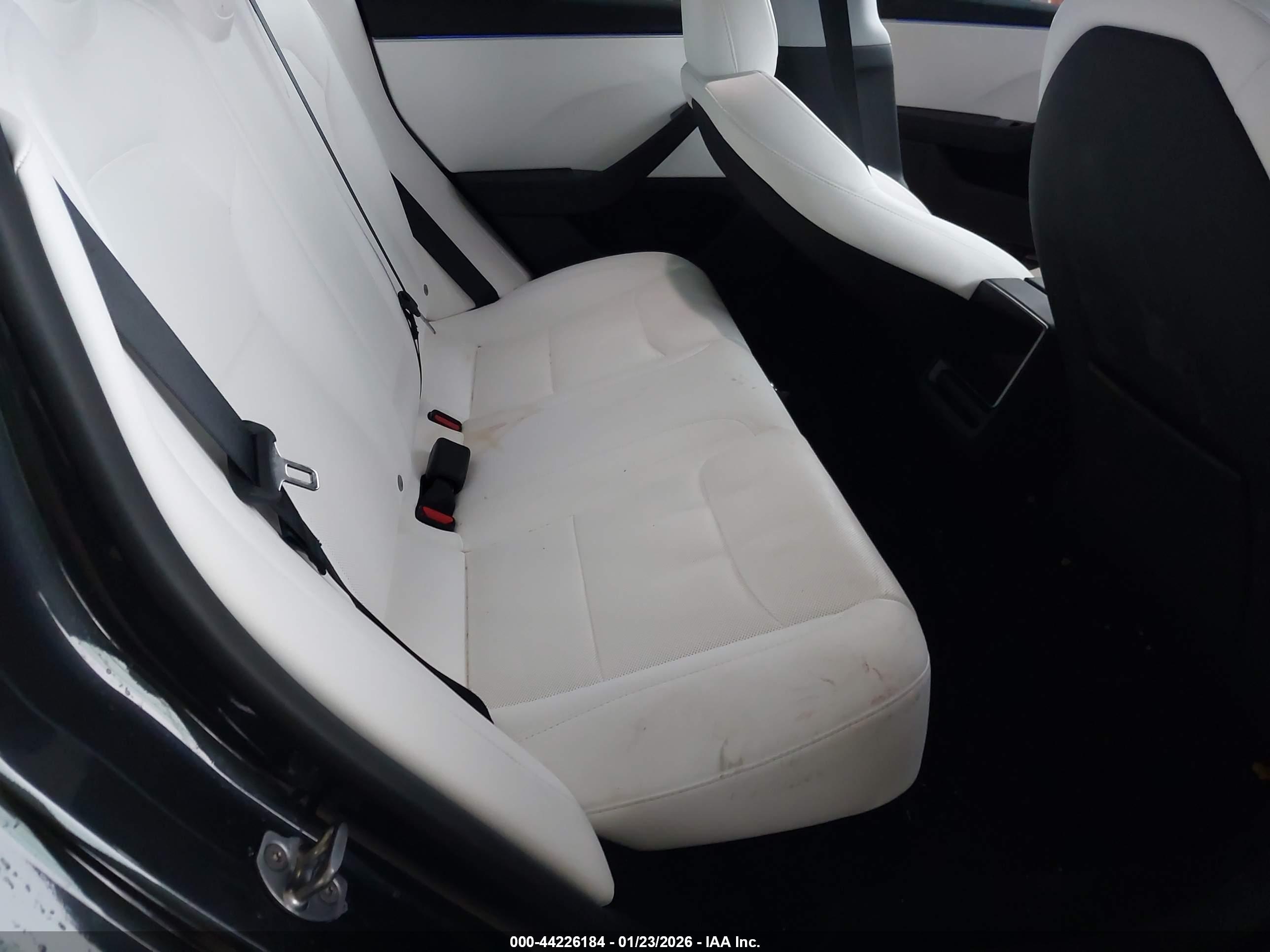 TESLA MODEL image 8
