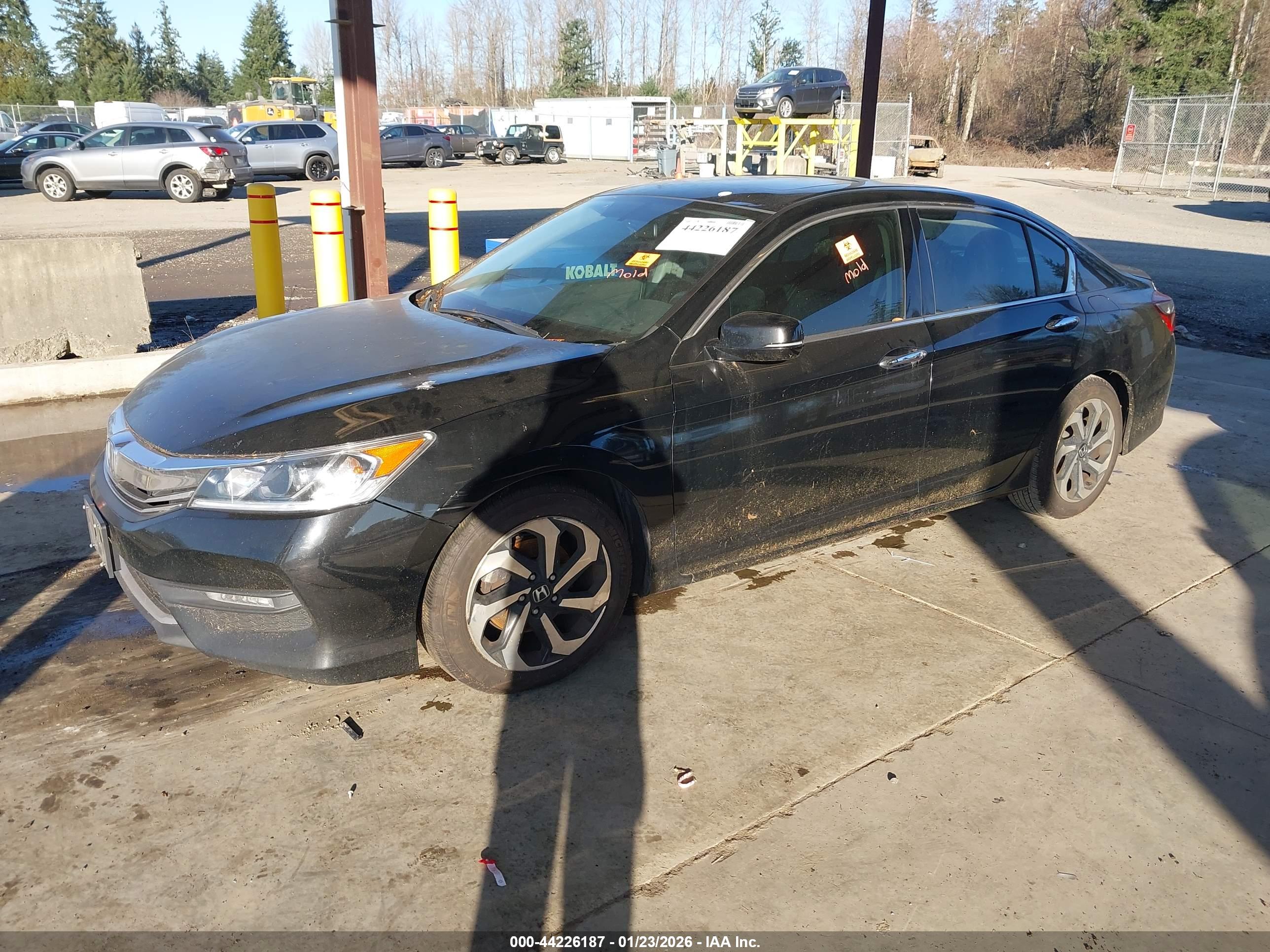 HONDA ACCORD image 2