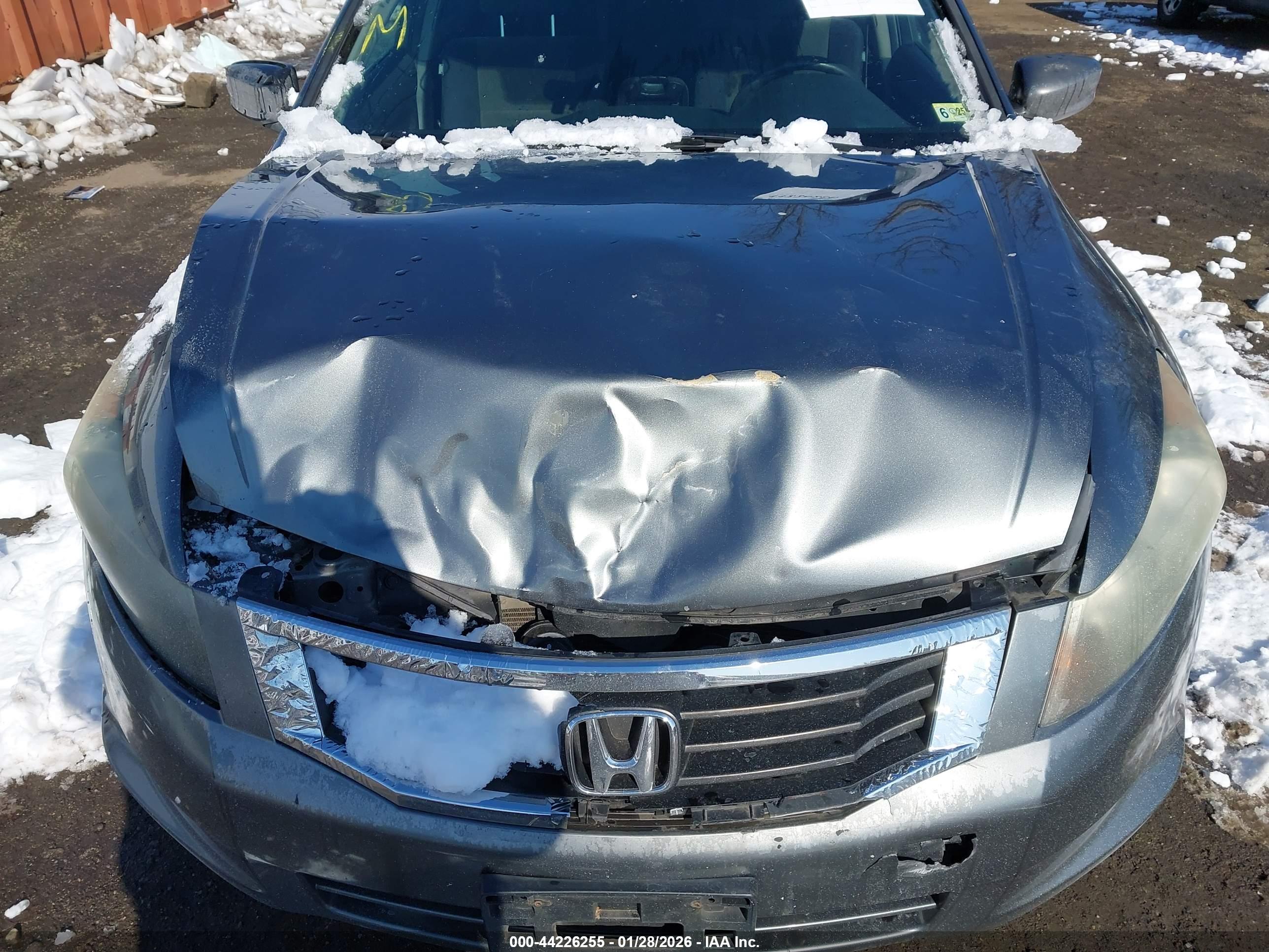 HONDA ACCORD image 10