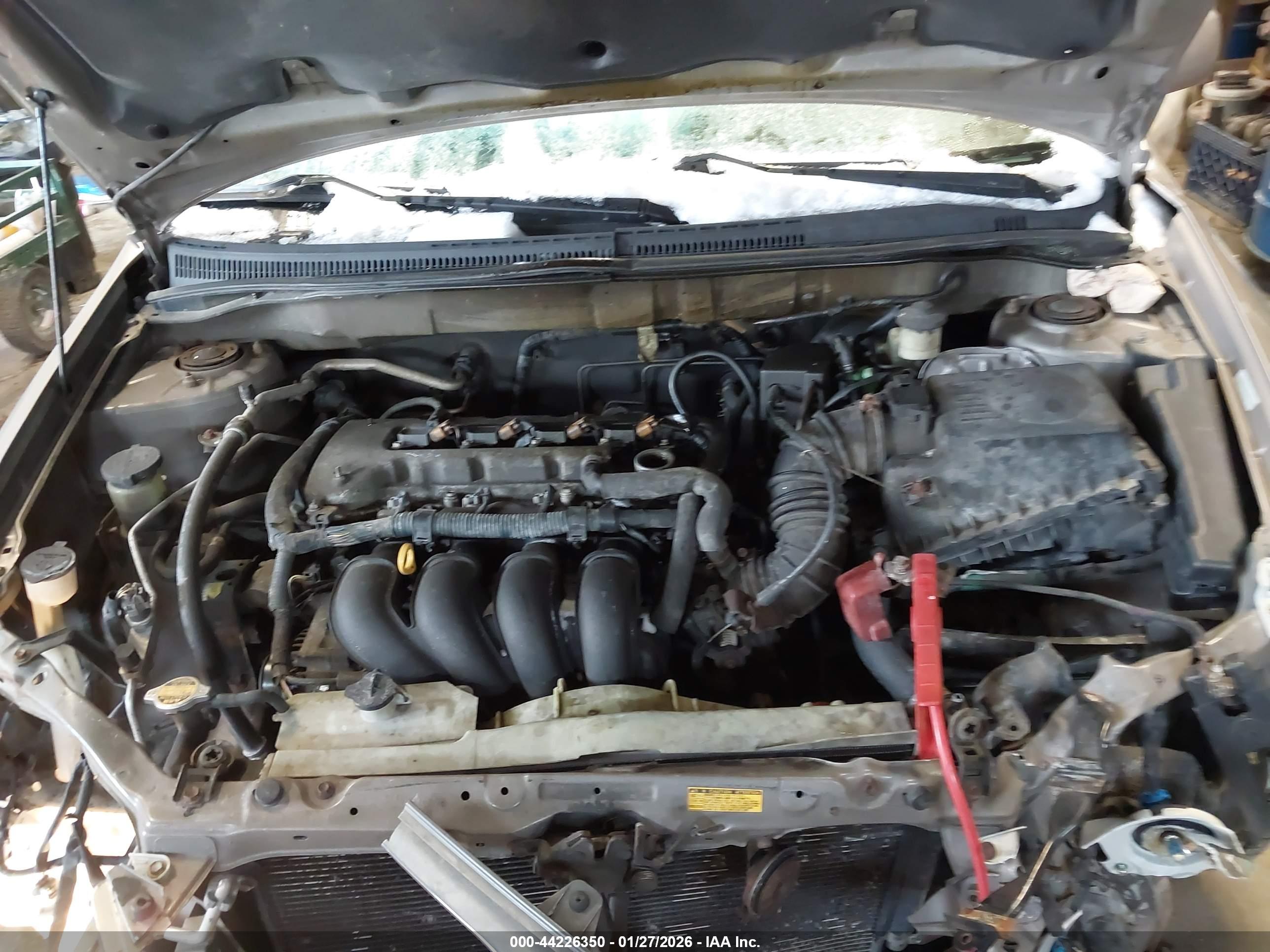 TOYOTA COROLLA image 10