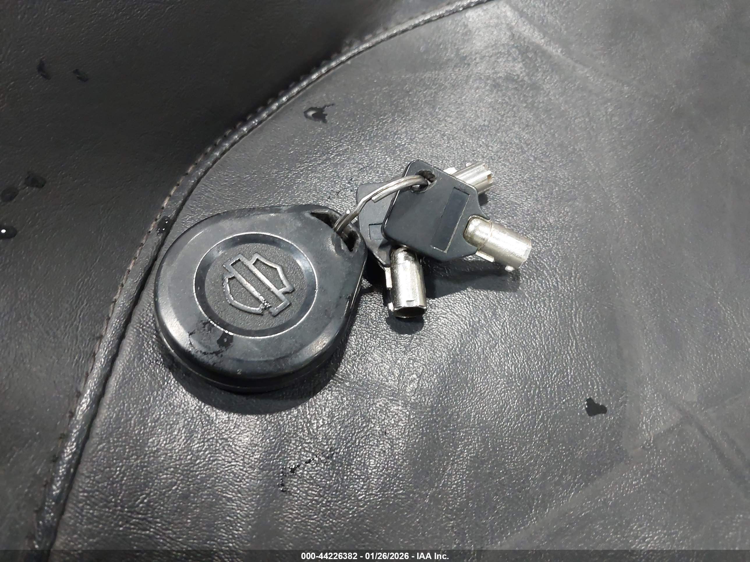 HARLEY-DAVIDSON FLHX image 11