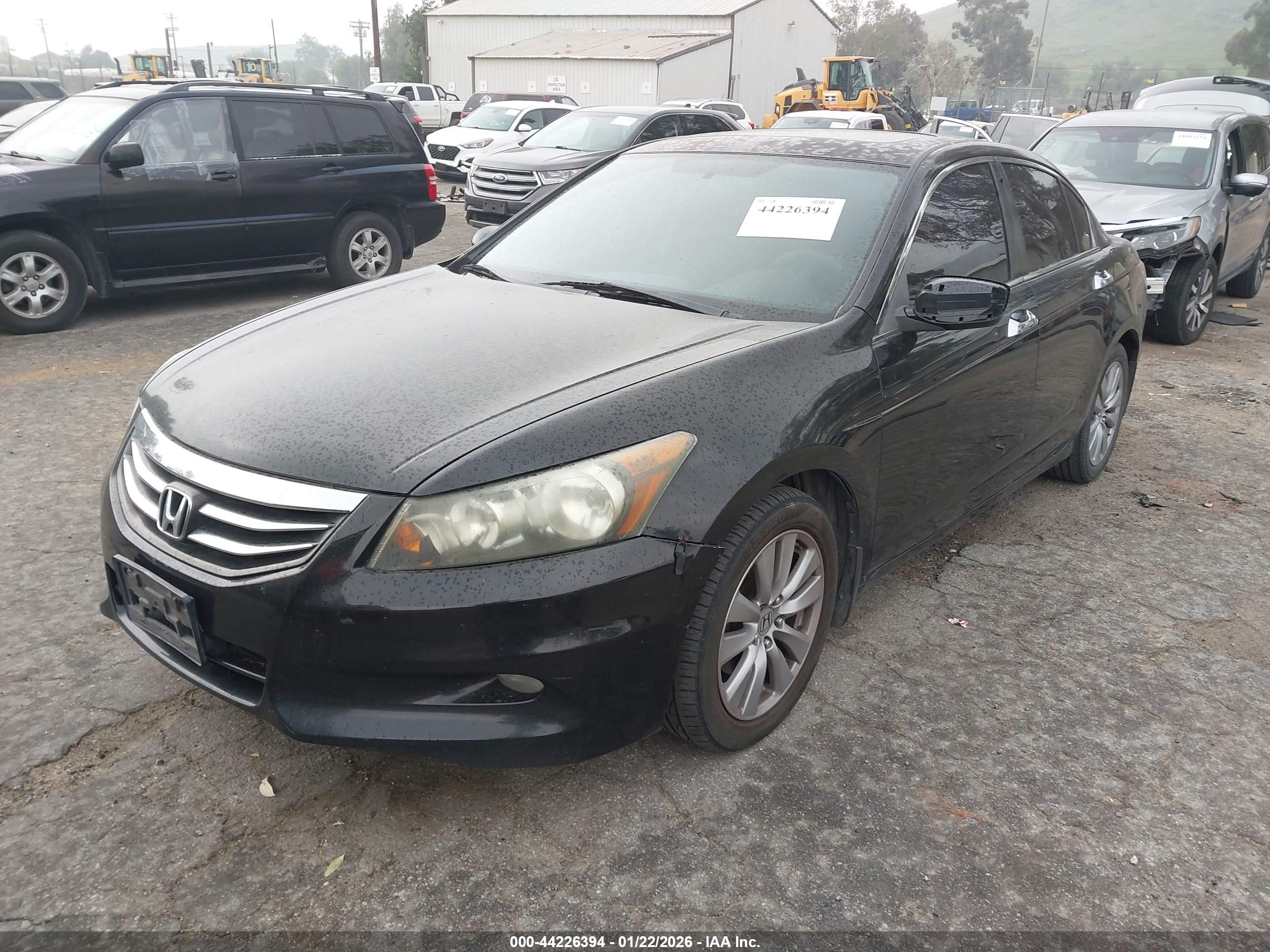 HONDA ACCORD image 2