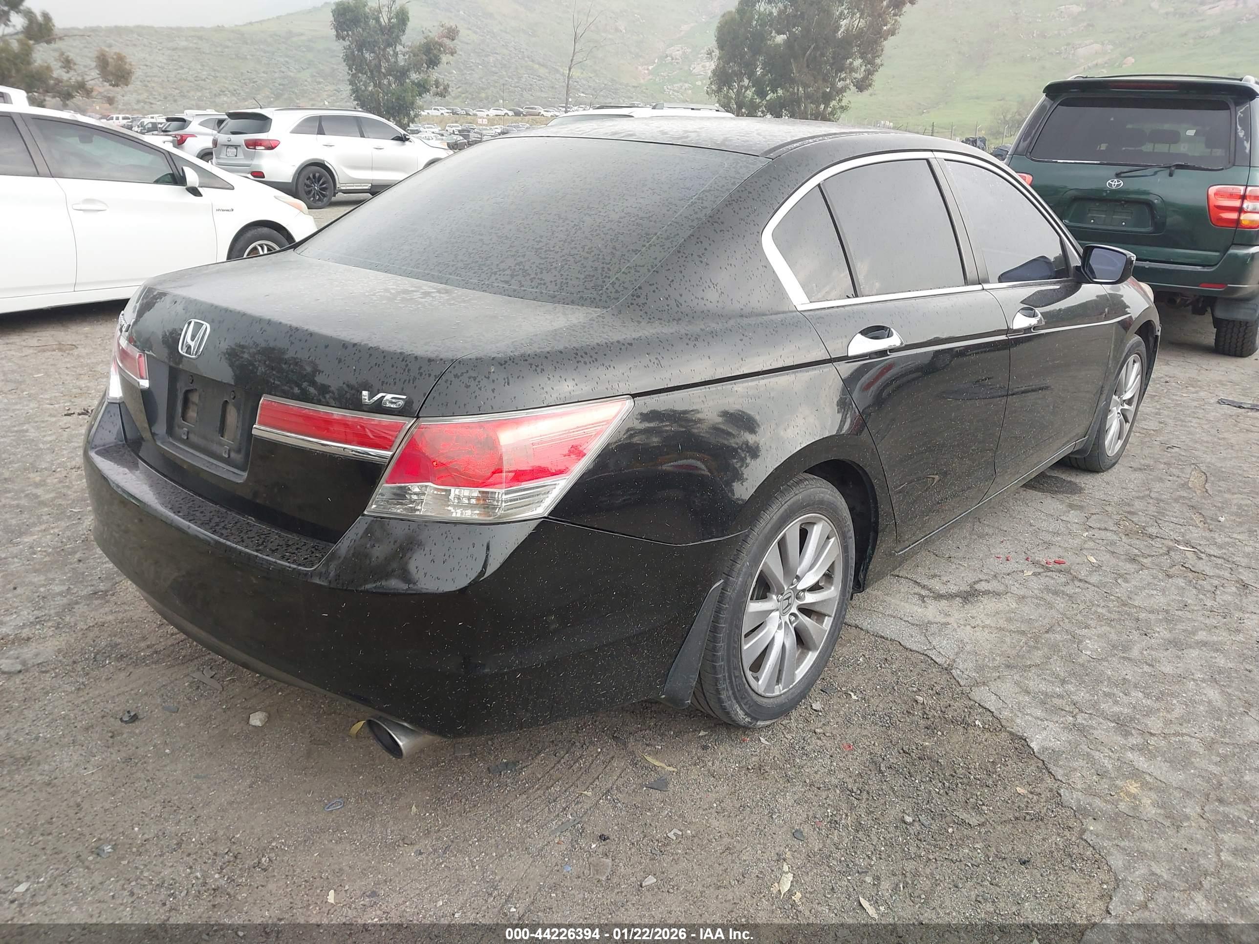 HONDA ACCORD image 4