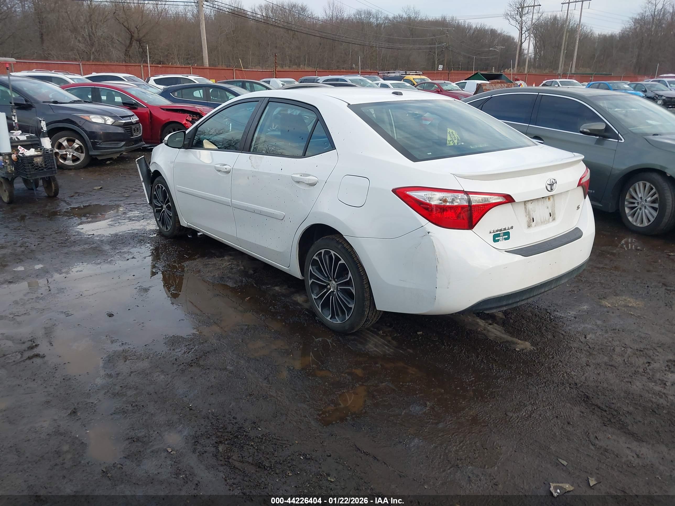 TOYOTA COROLLA image 3