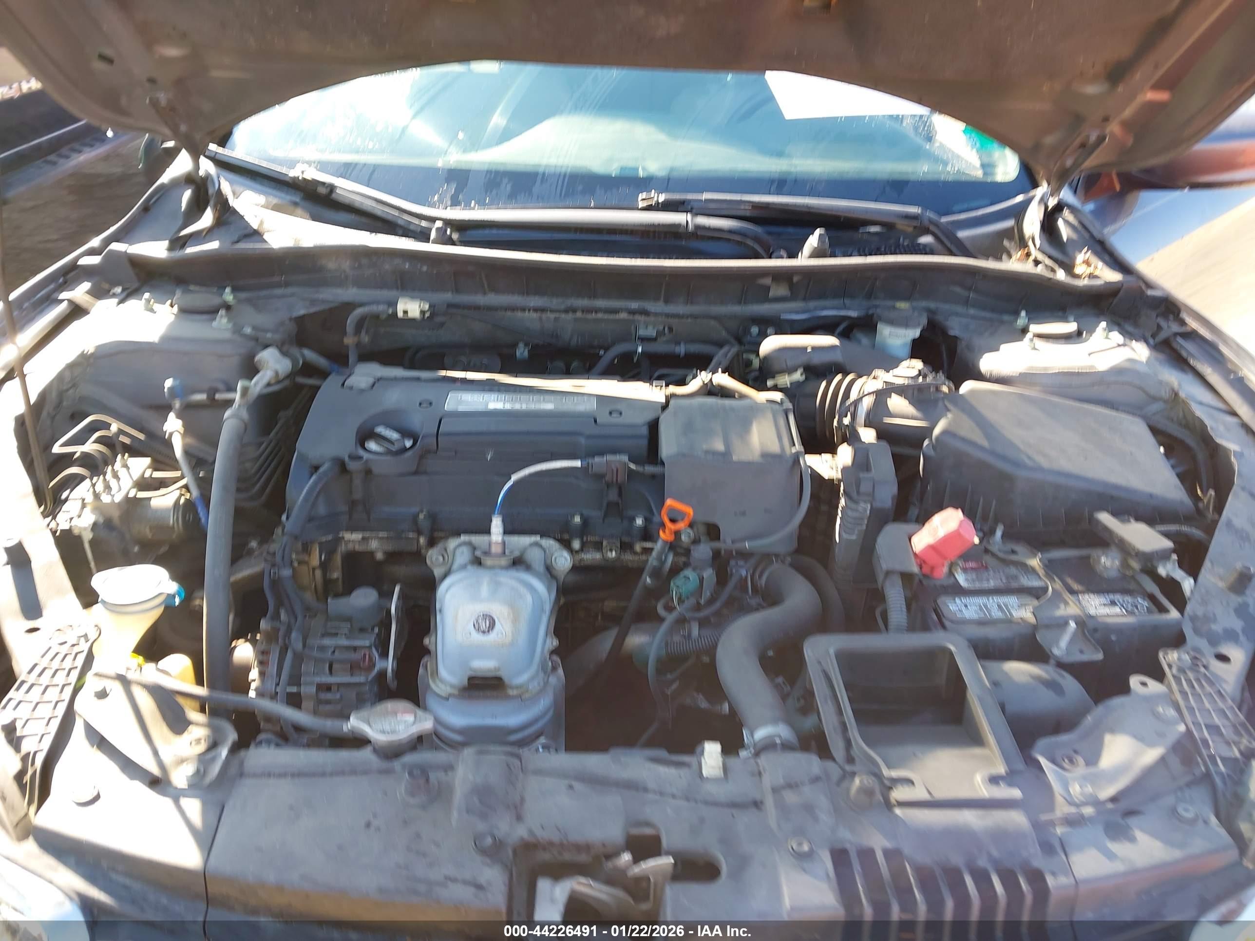HONDA ACCORD image 10