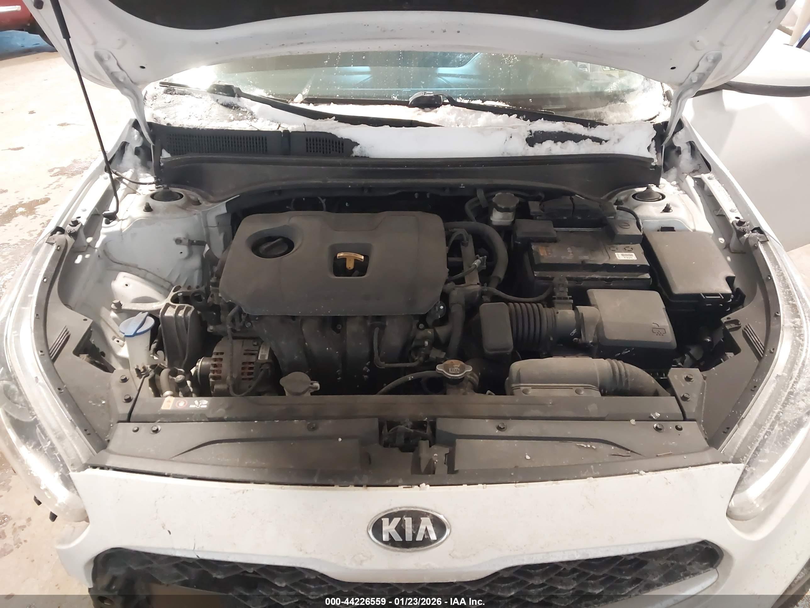 KIA FORTE image 10