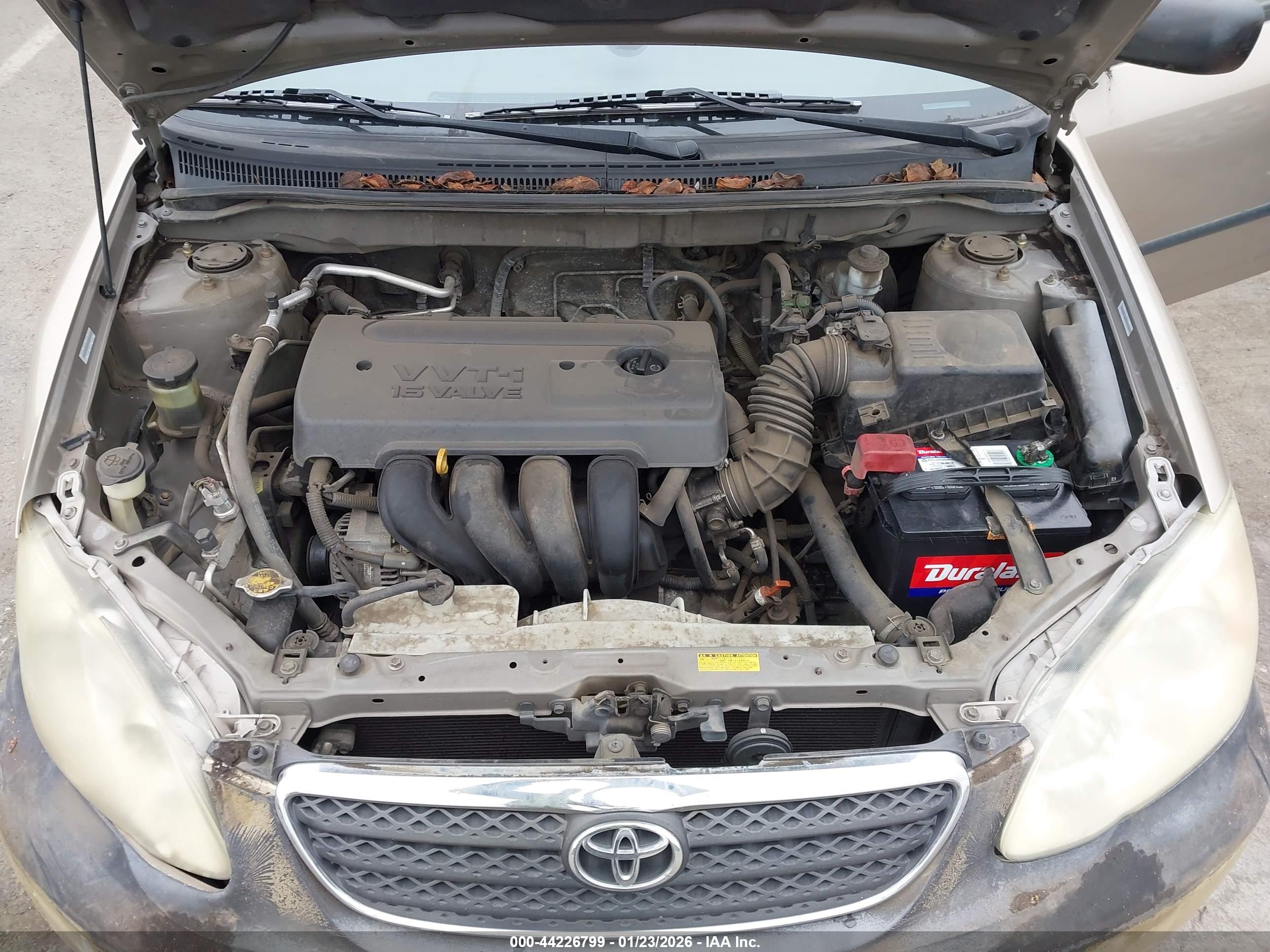 TOYOTA COROLLA image 10