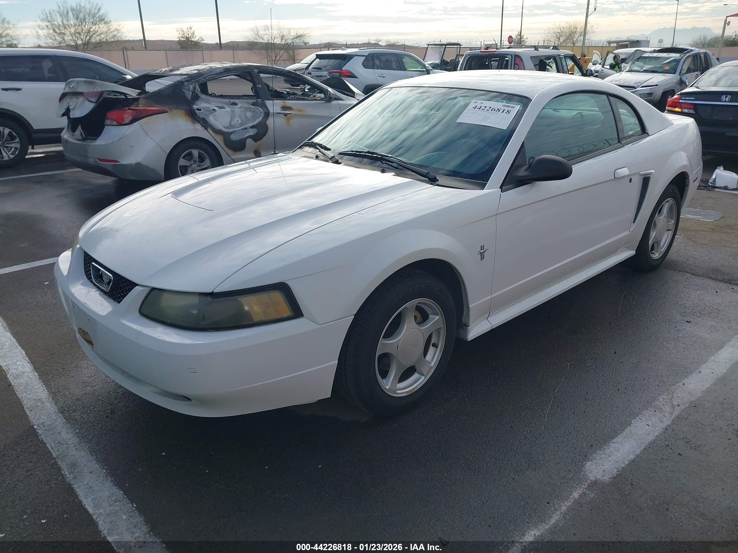 FORD MUSTANG image 2