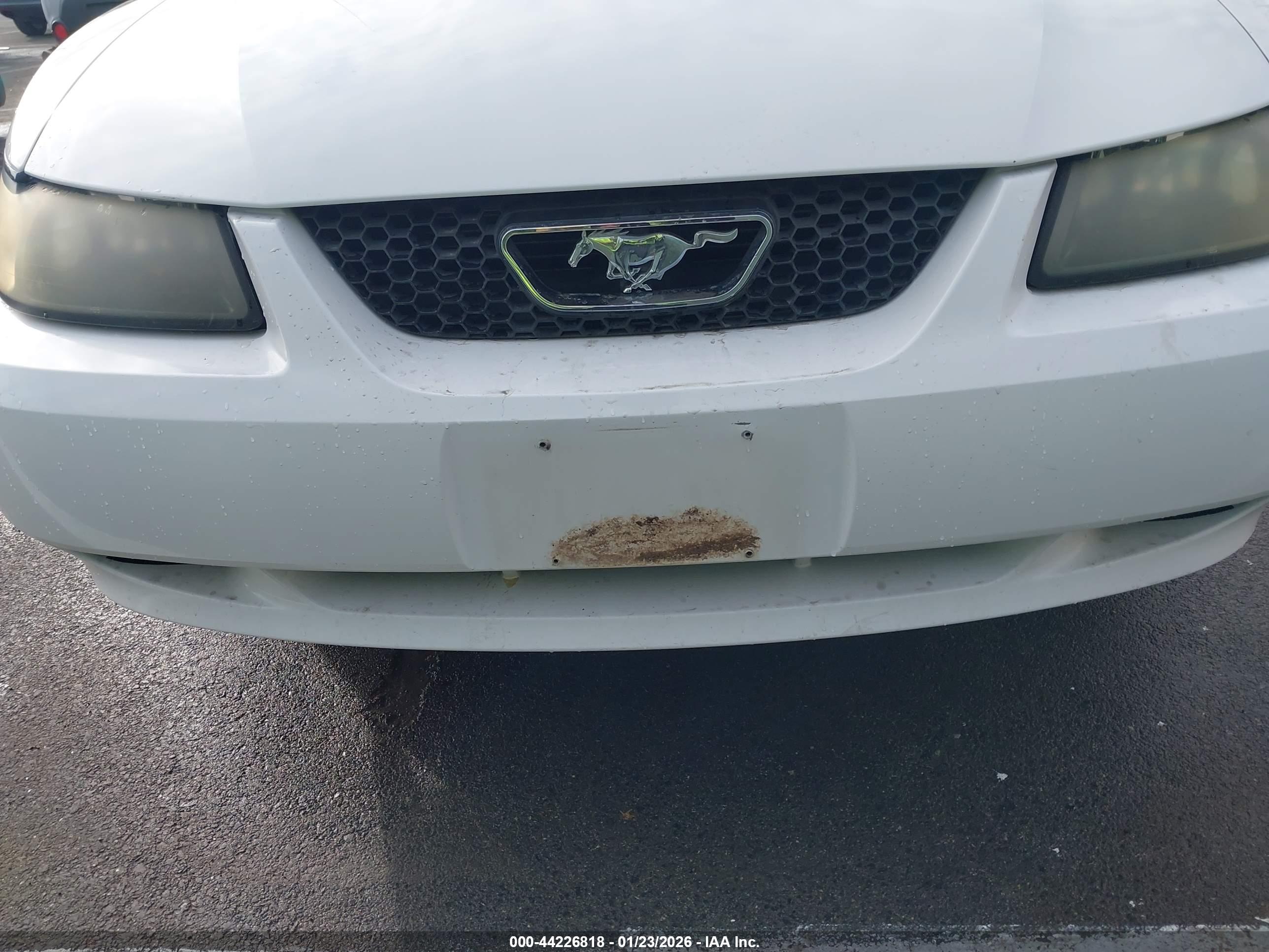 FORD MUSTANG image 6