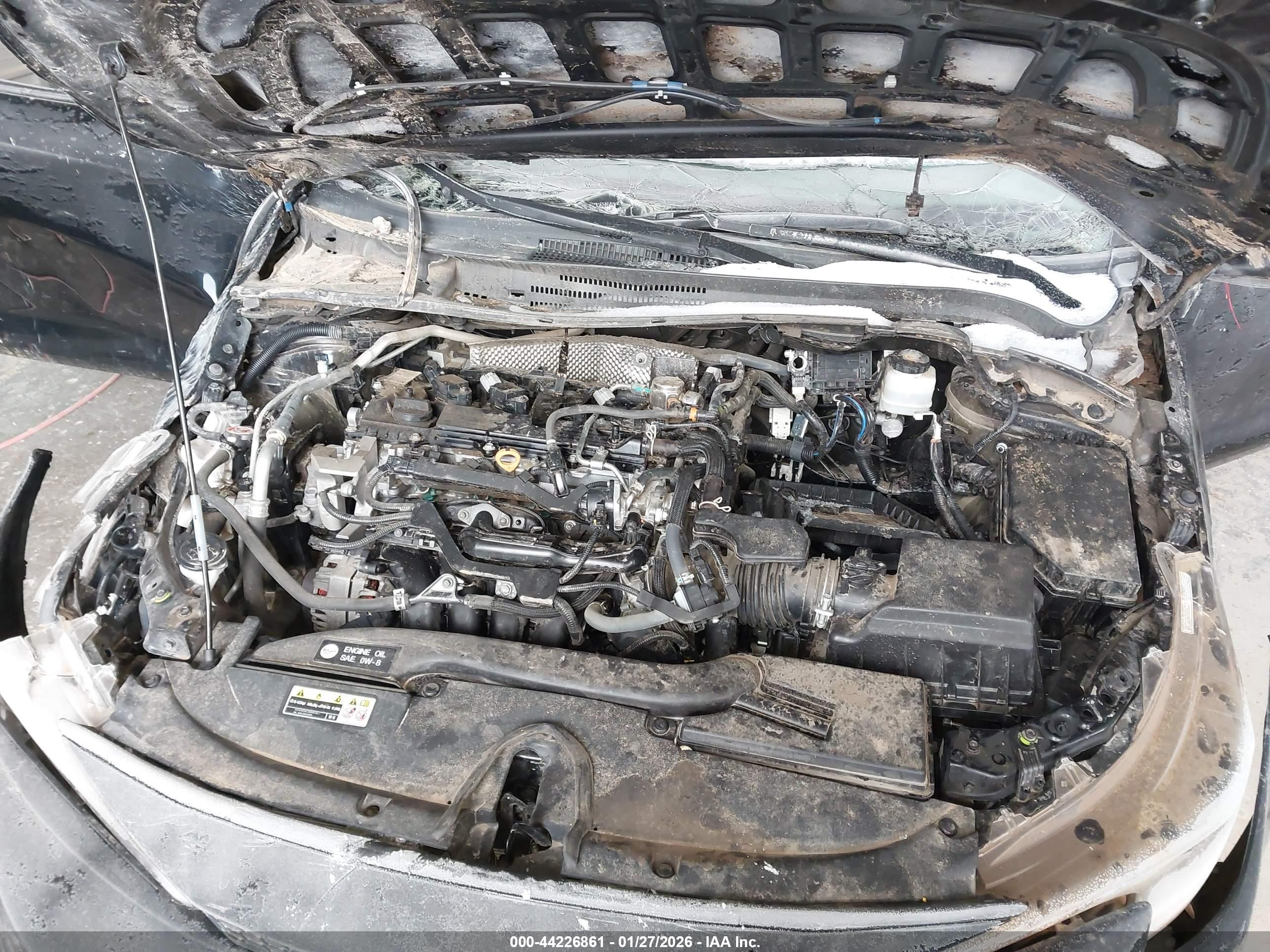 TOYOTA COROLLA image 10