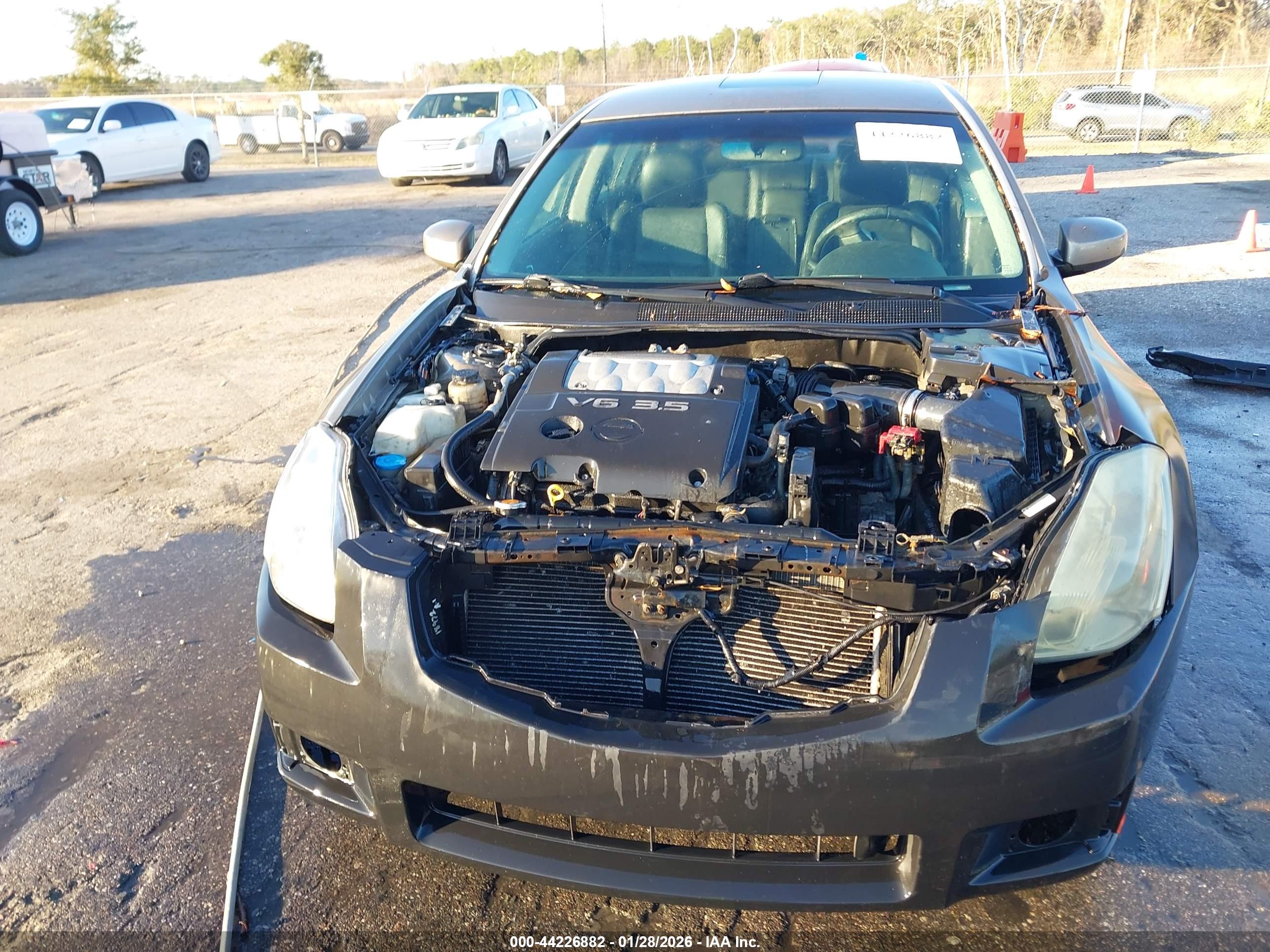 NISSAN MAXIMA image 6