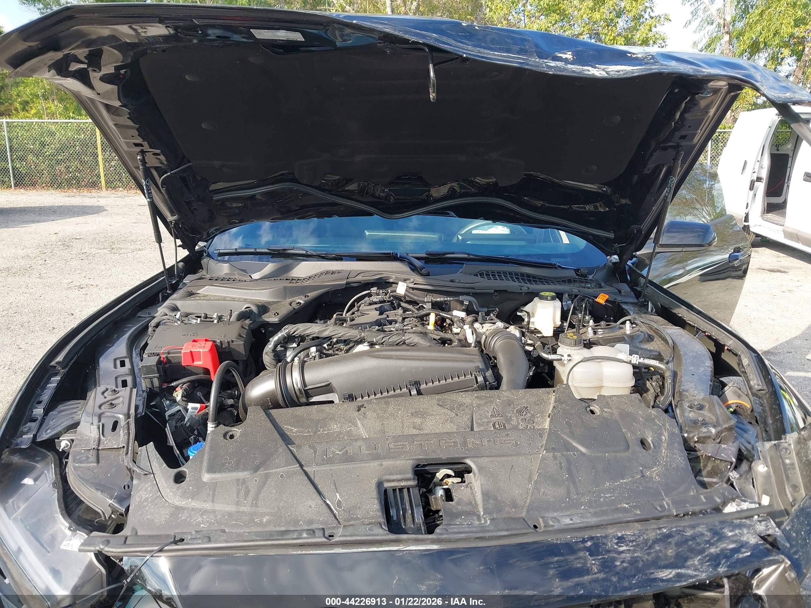 FORD MUSTANG image 10